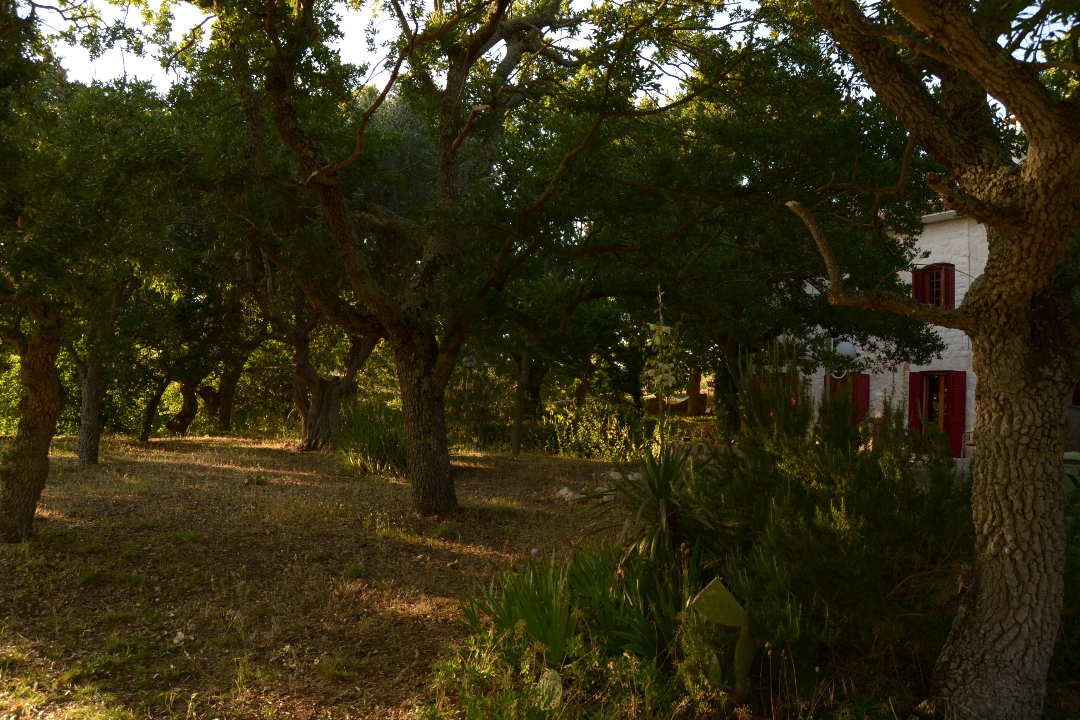 Maison nature à Locorotondo