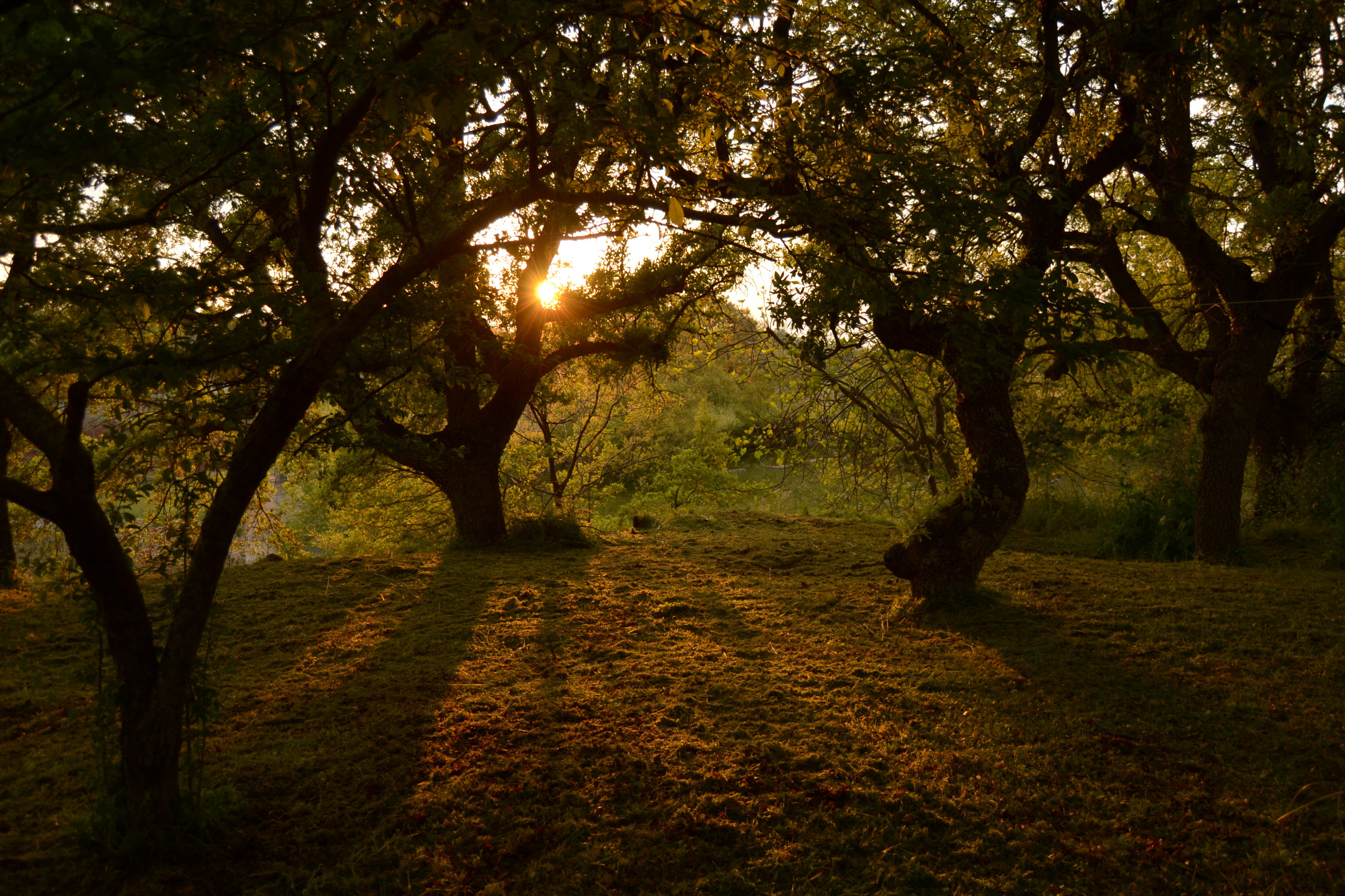 Maison nature à Locorotondo