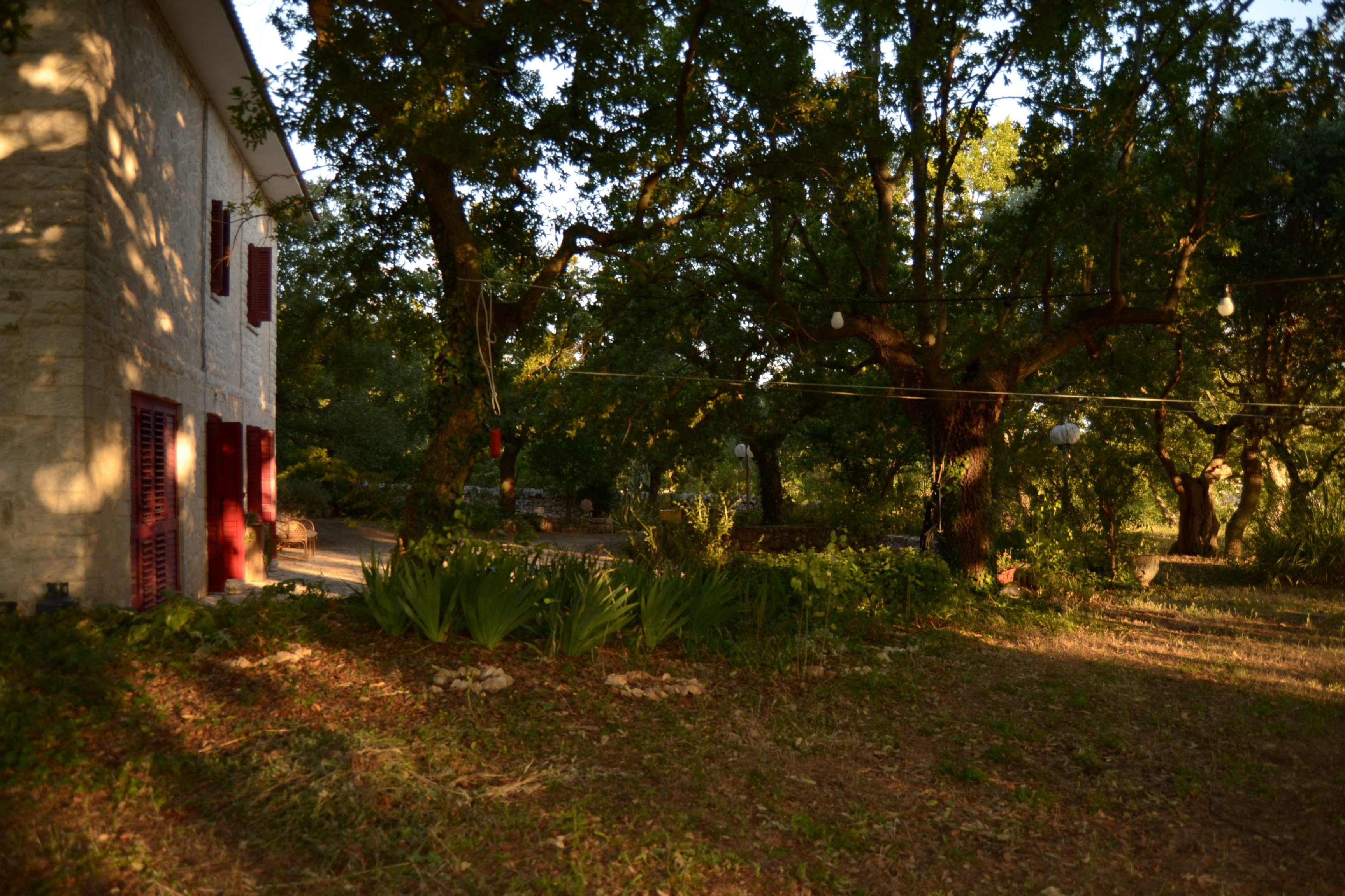 Maison nature à Locorotondo