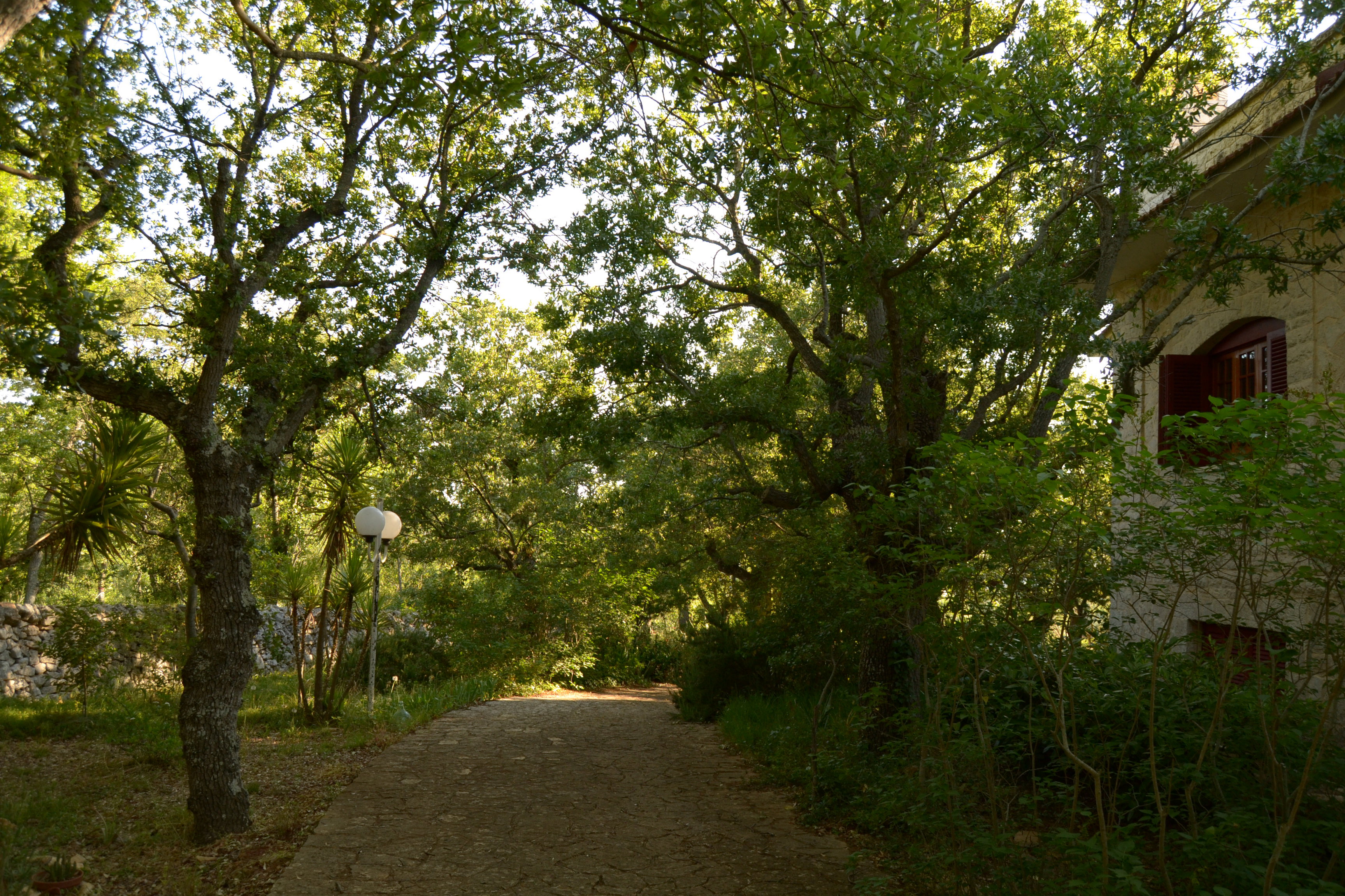 Maison nature à Locorotondo