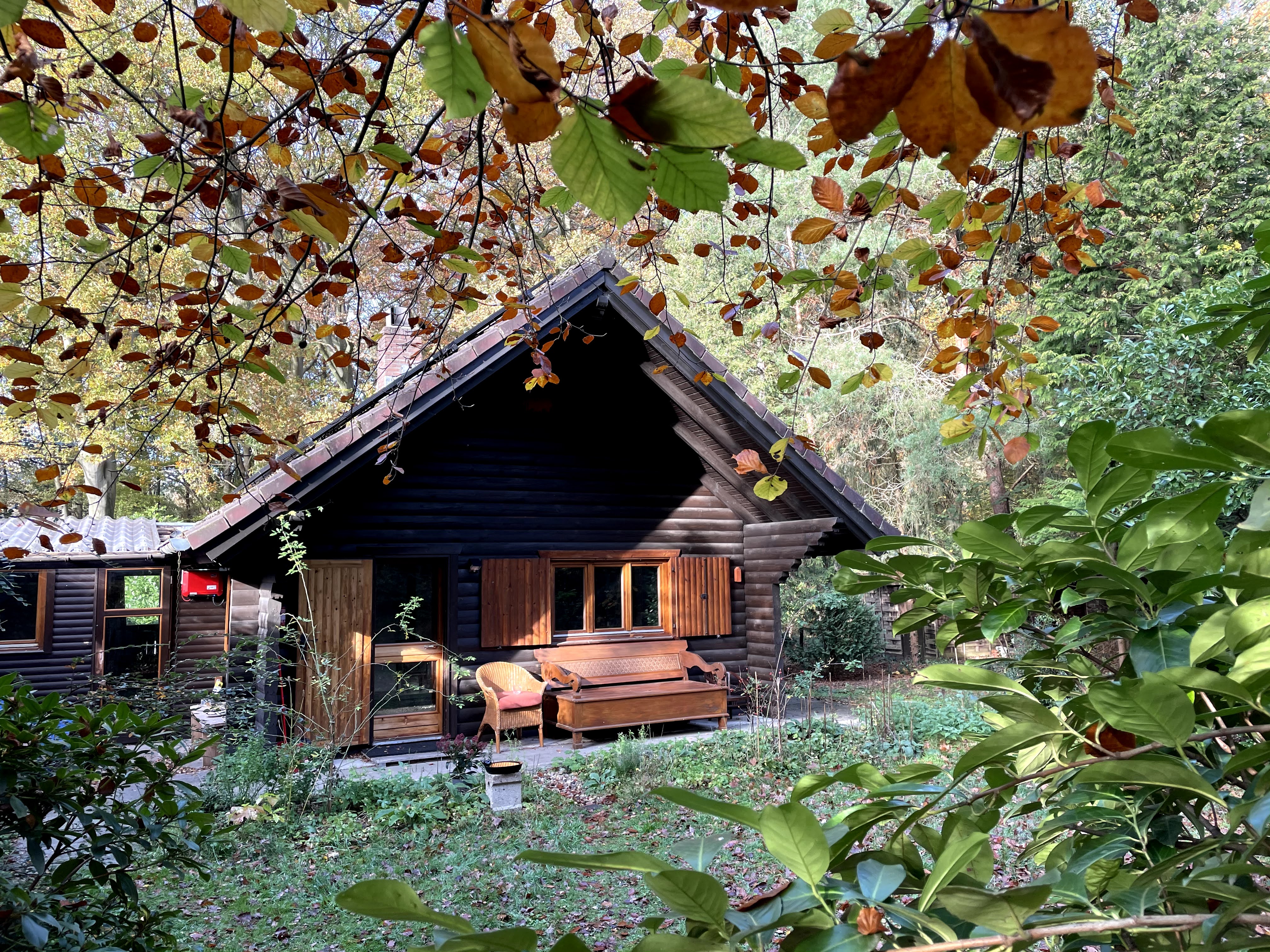 Maison nature à Vorden