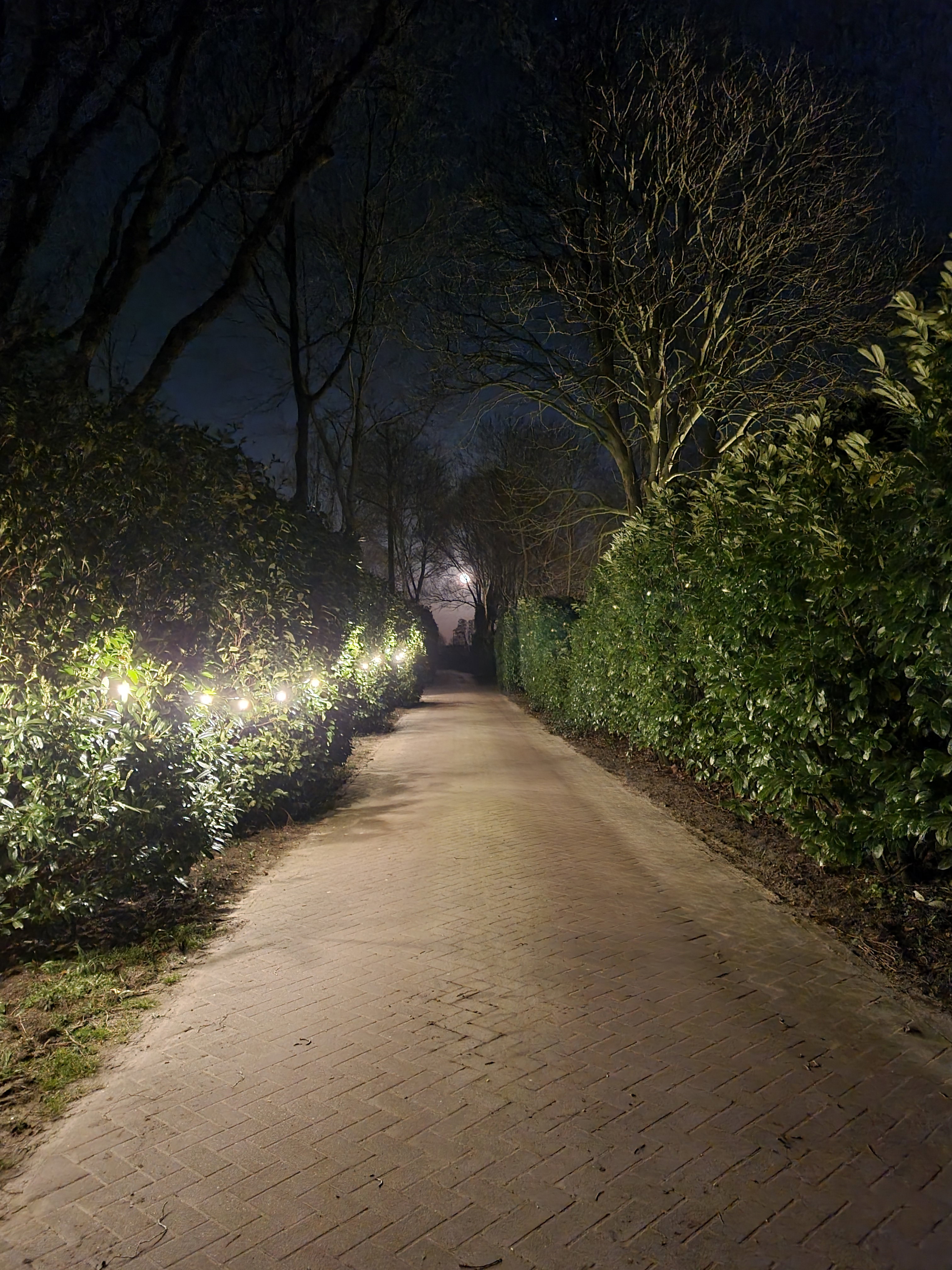 - image: 26