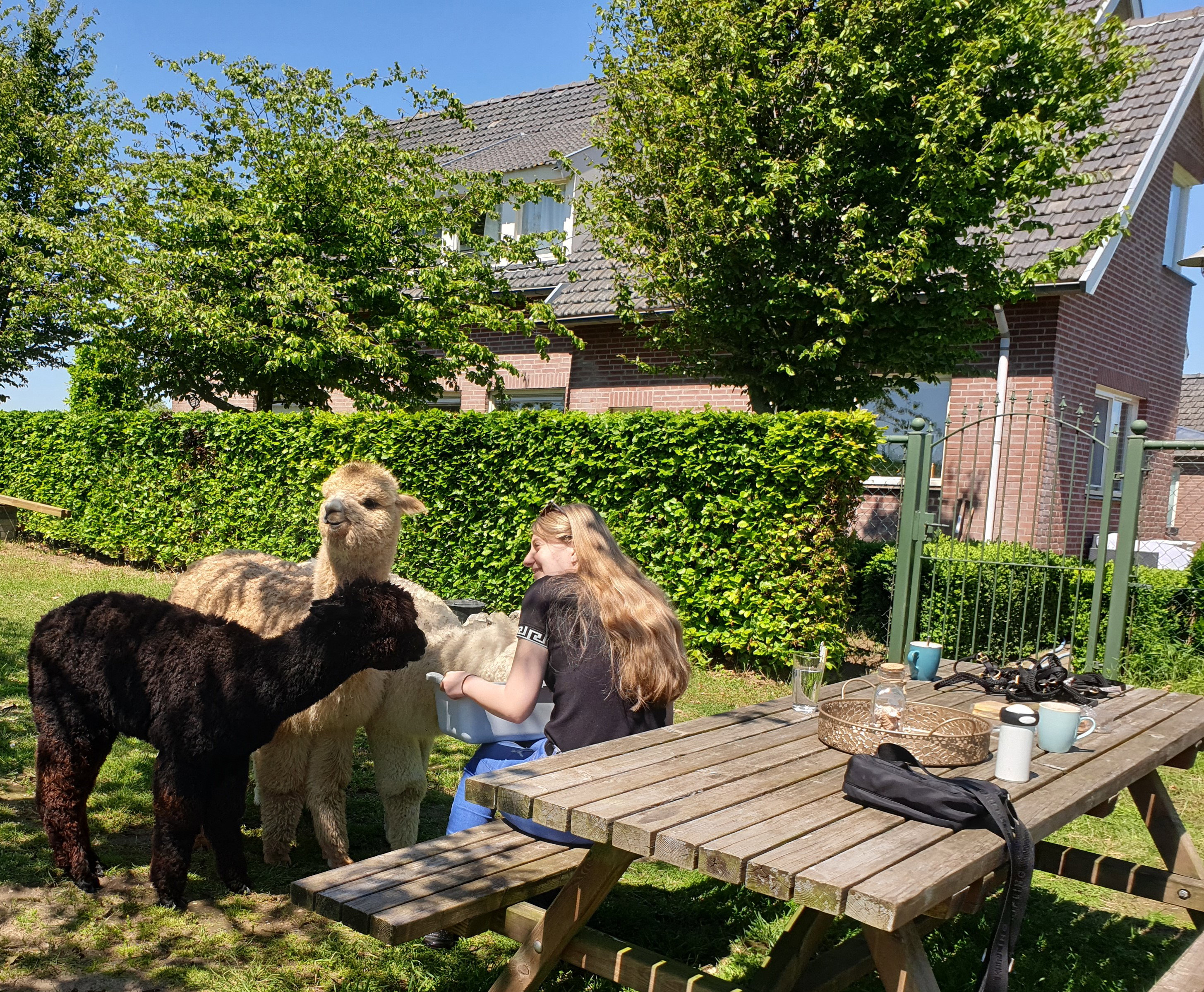 Natuurhuisje in Nederasselt