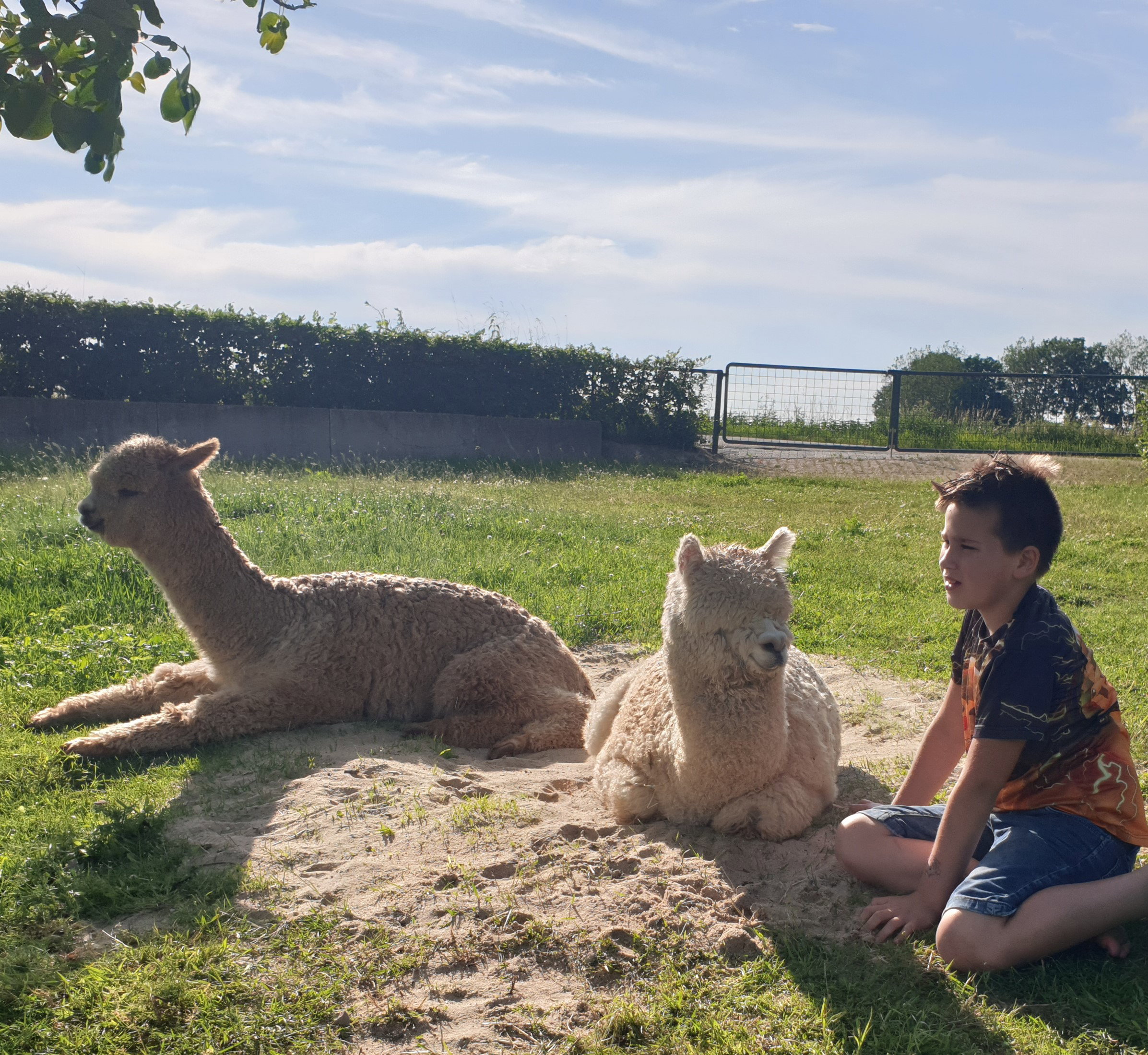 Natuurhuisje in Nederasselt