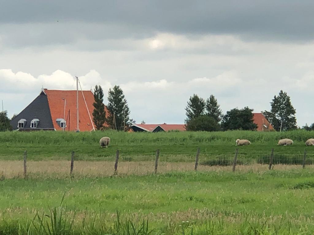 - image: 11