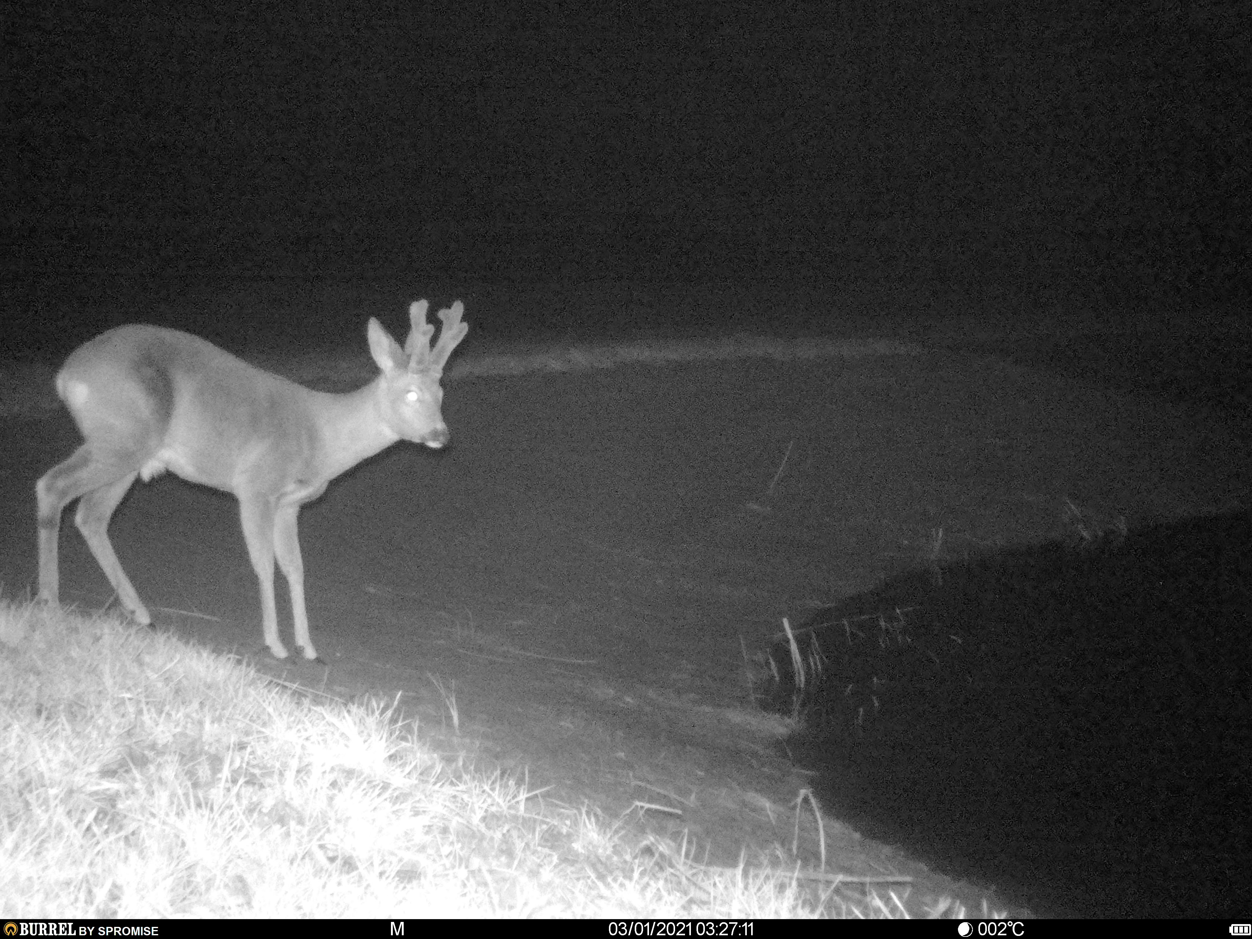 - image: 27
