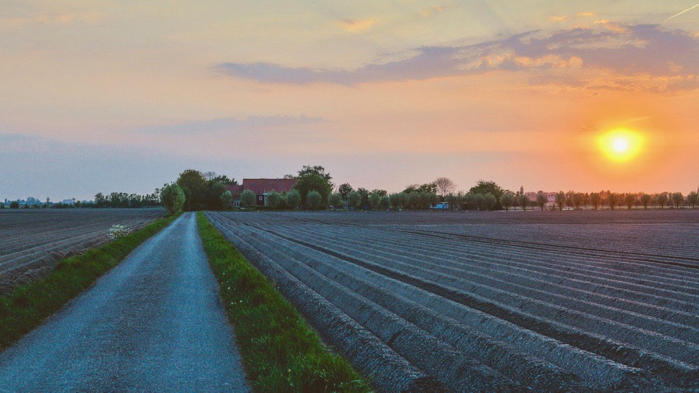 Natuurhuisje in Veere