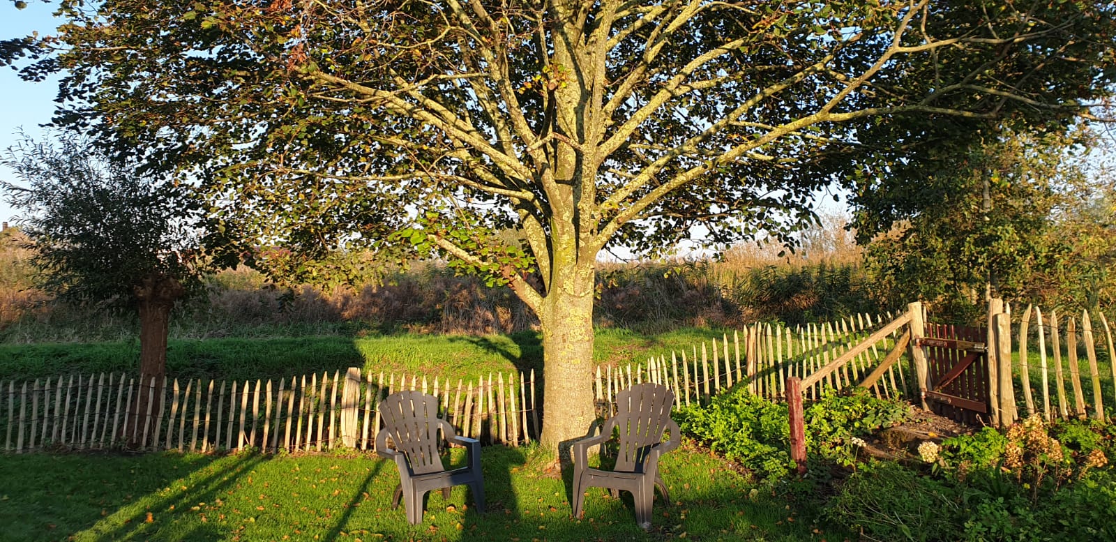 Maison nature à Oudesluis