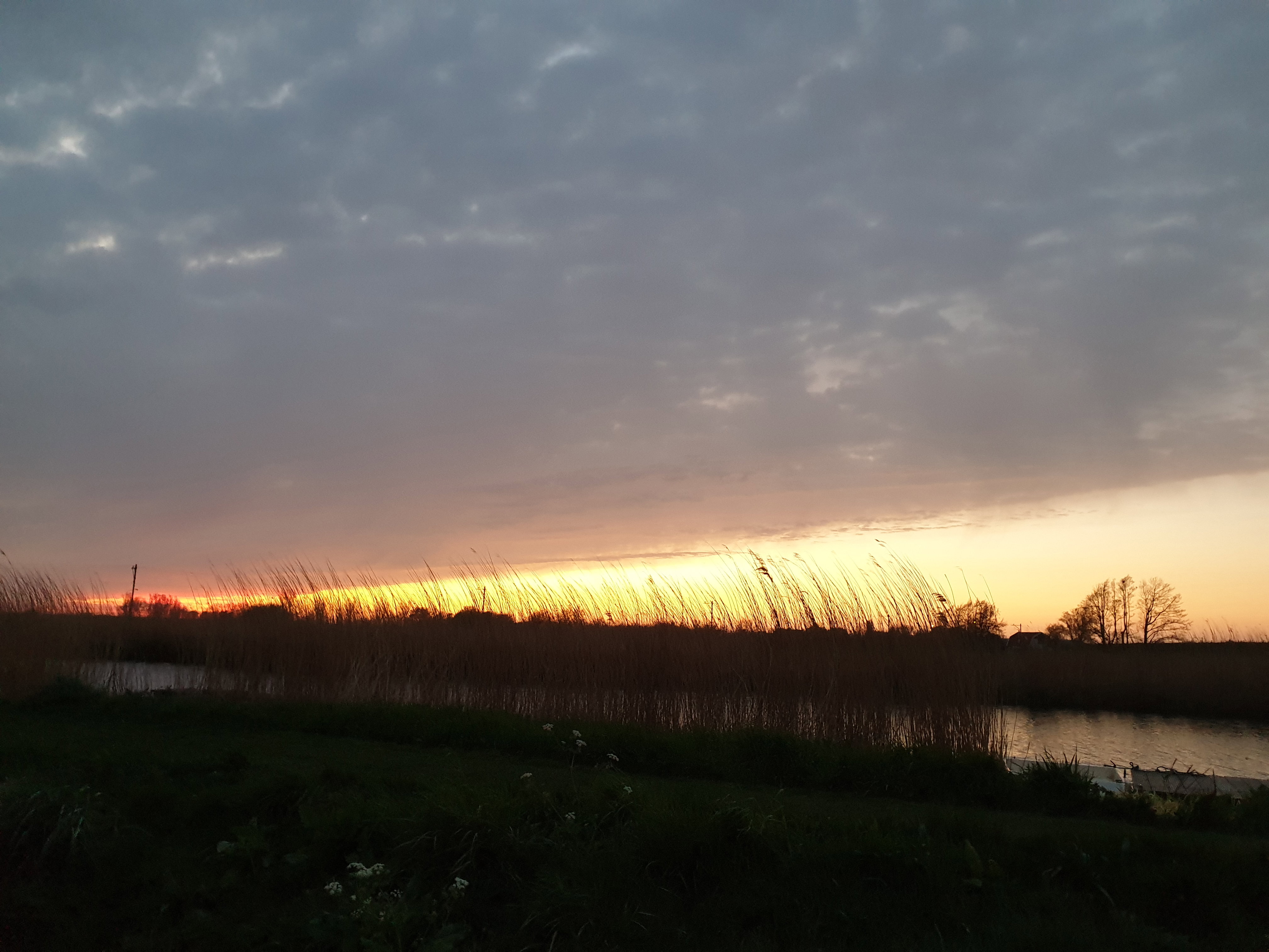 - image: 29