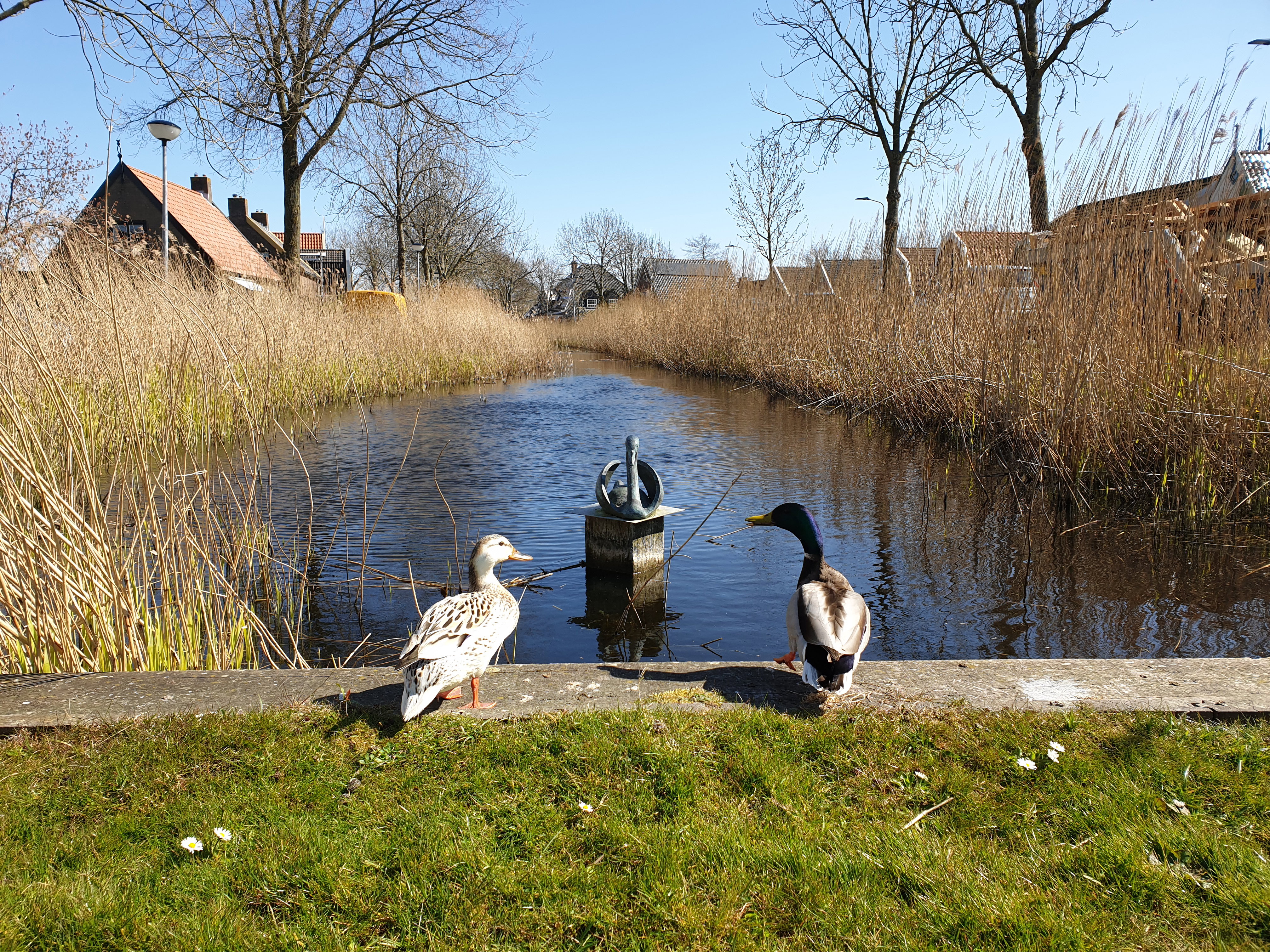 - image: 27