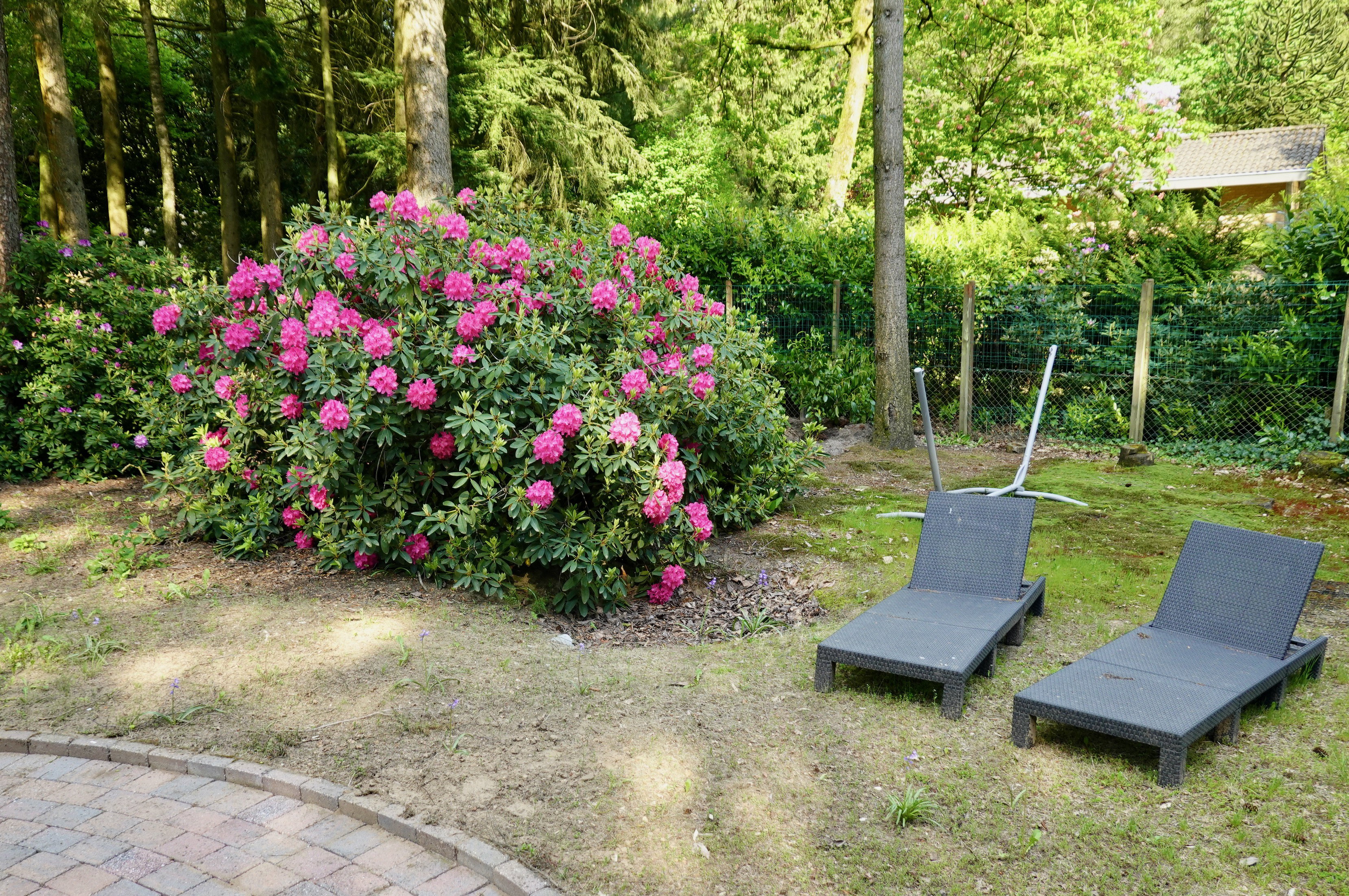 Natuurhuisje in Bennekom