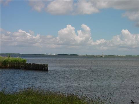 - image: 23