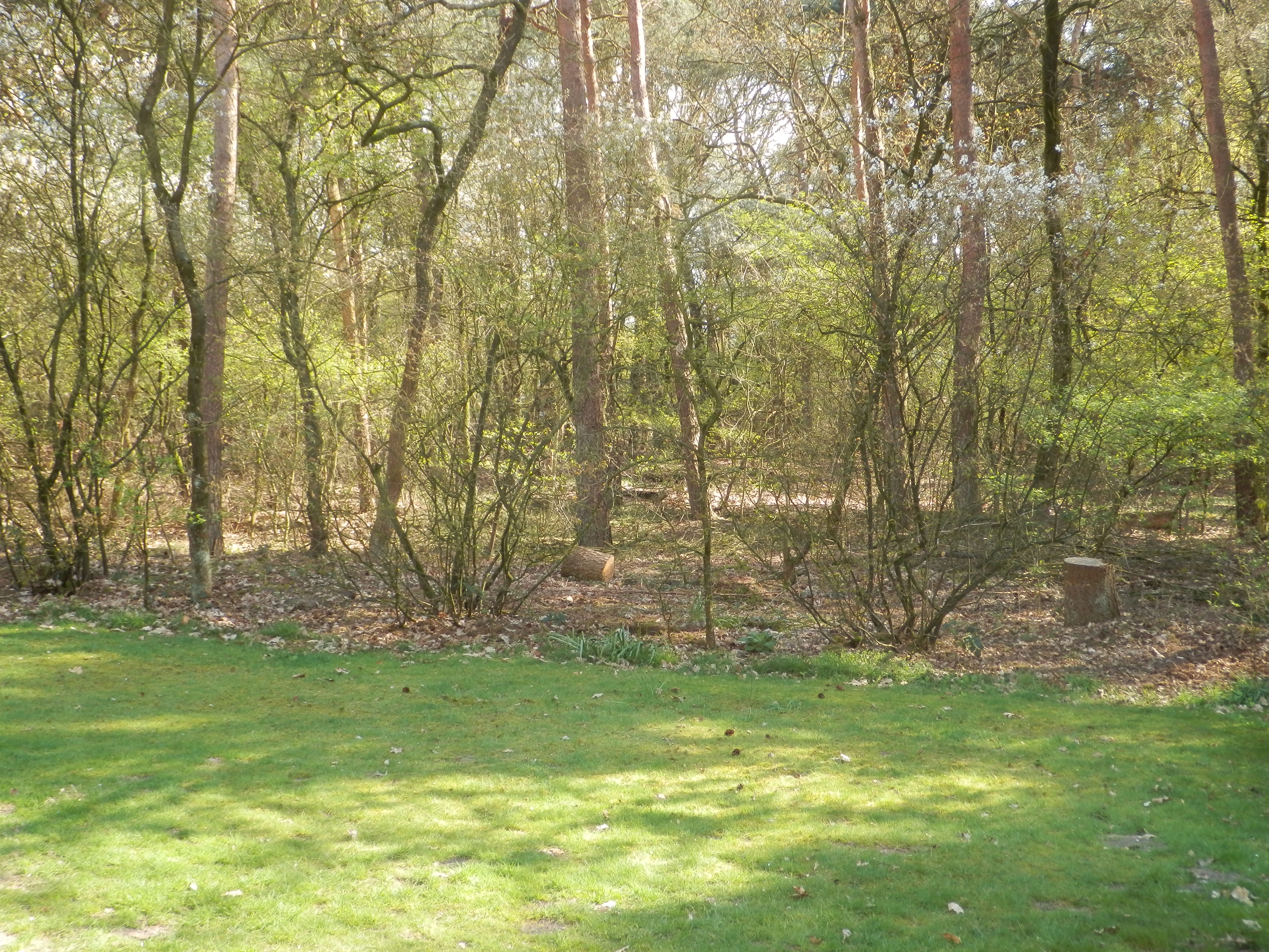 - image: 13