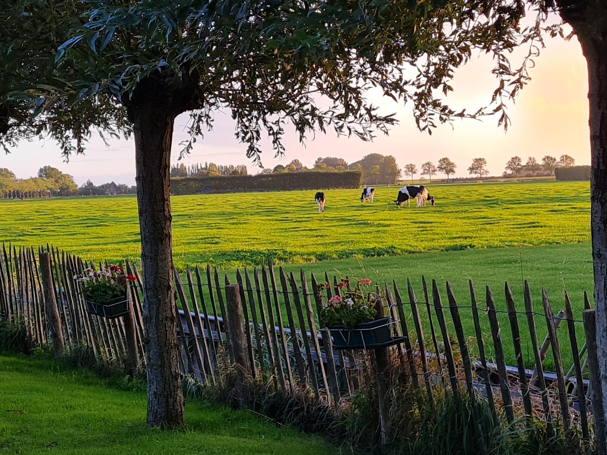 Maison nature à Wijdenes