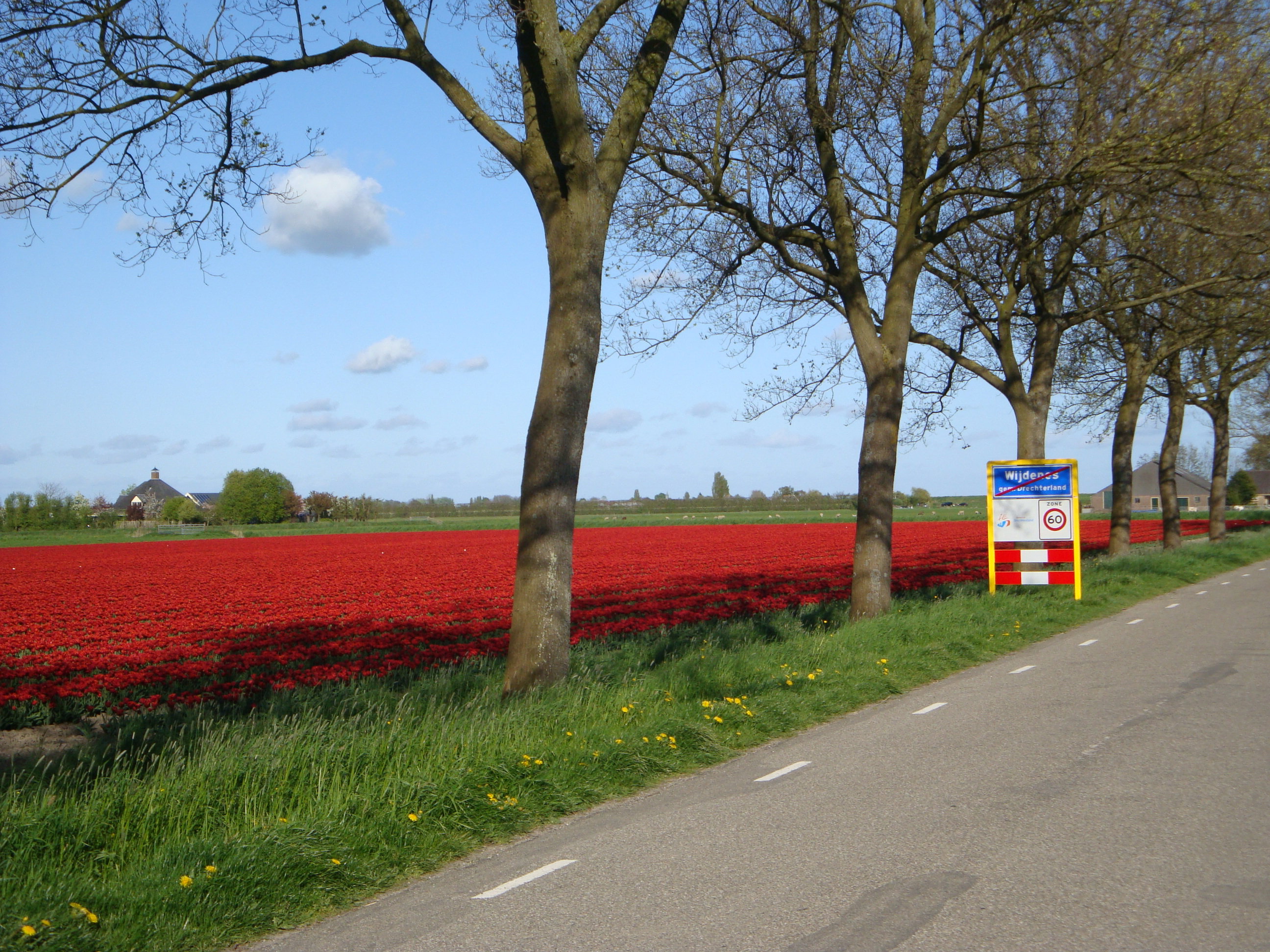 - image: 25