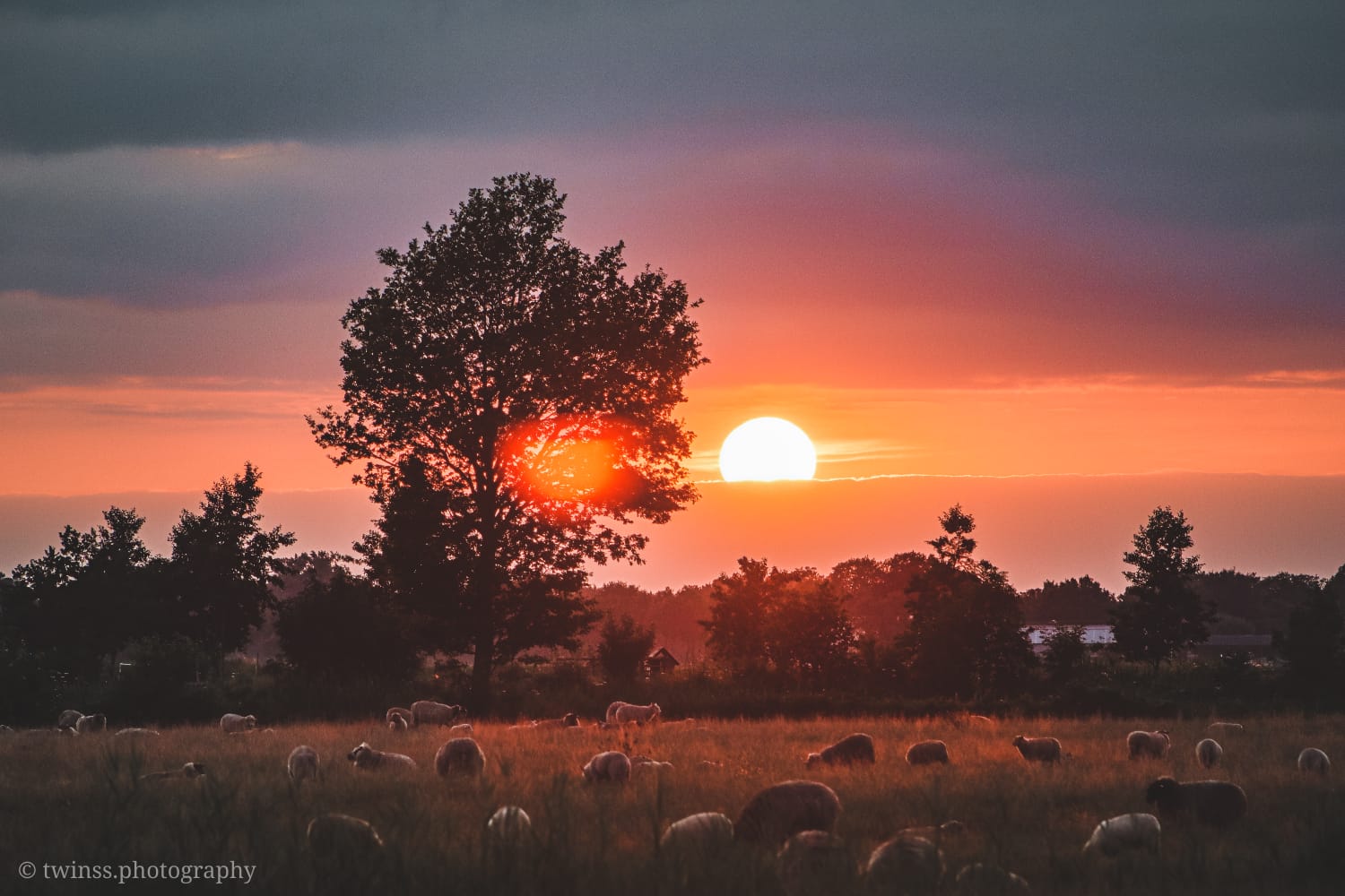 Natuurhuisje in Ruinerwold