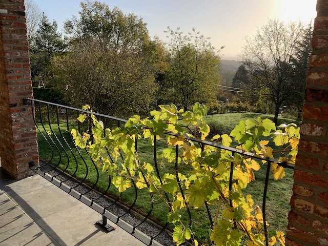 Maison nature à Durbuy