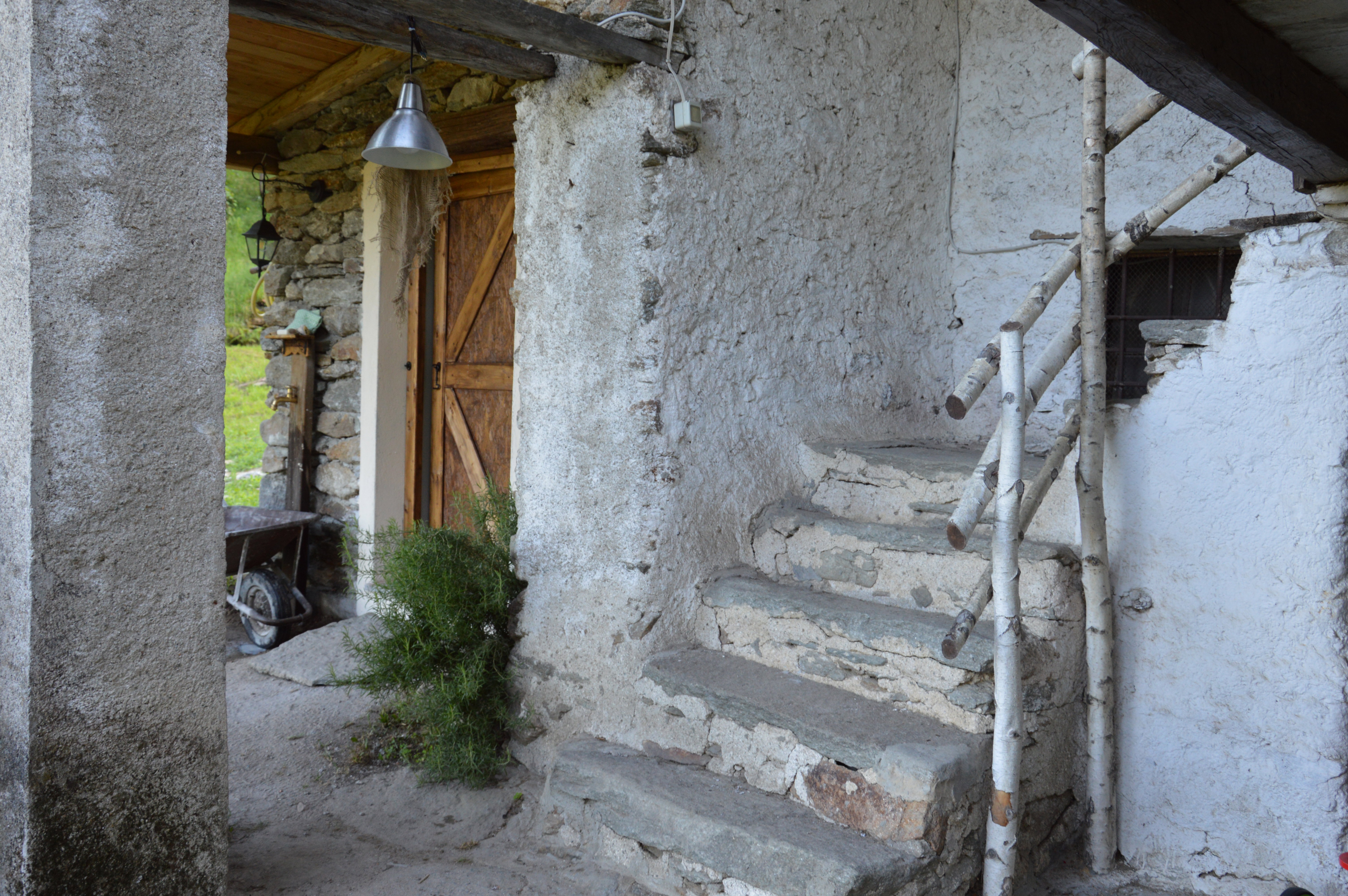 - image: 11