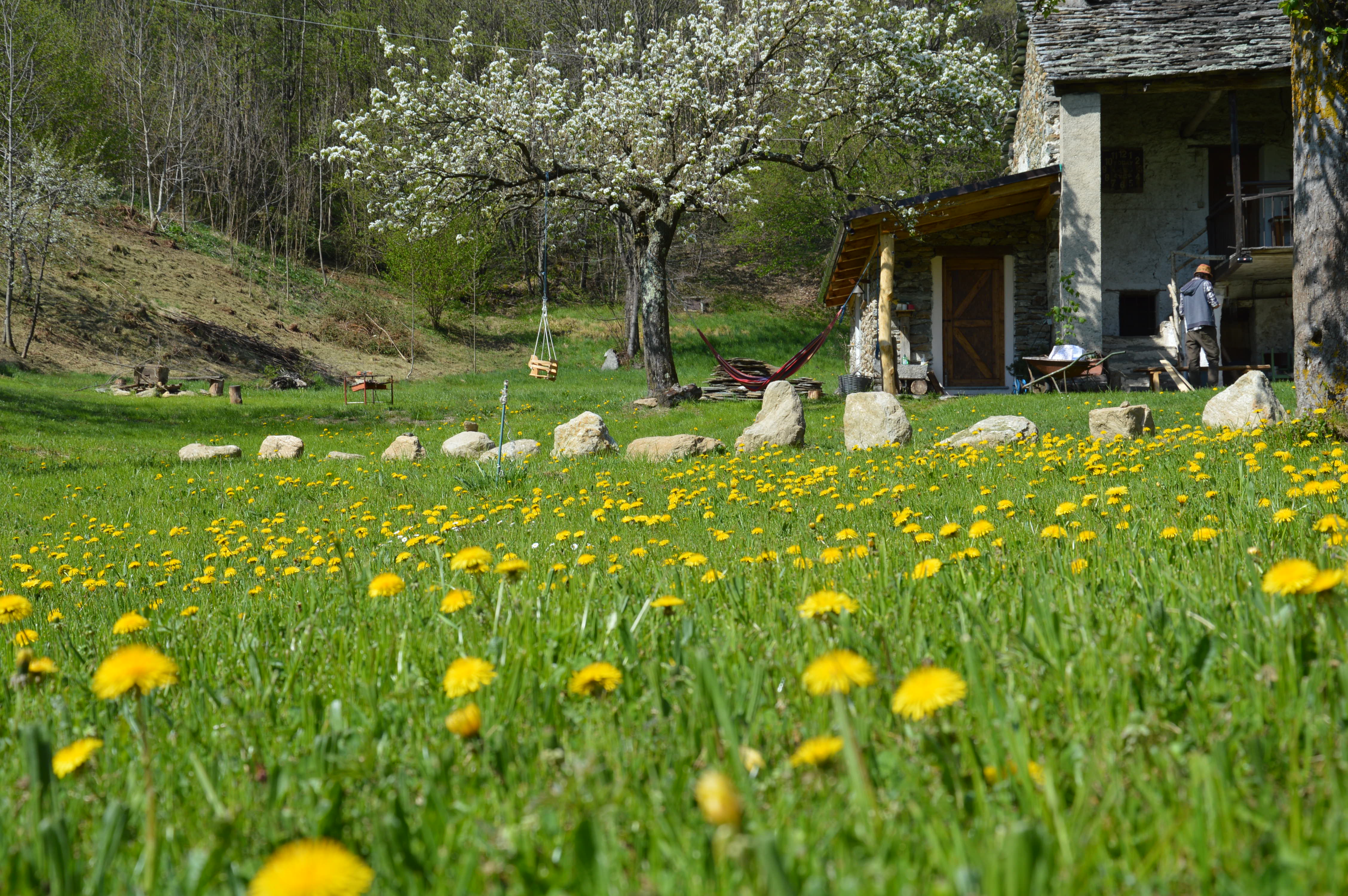 - image: 12
