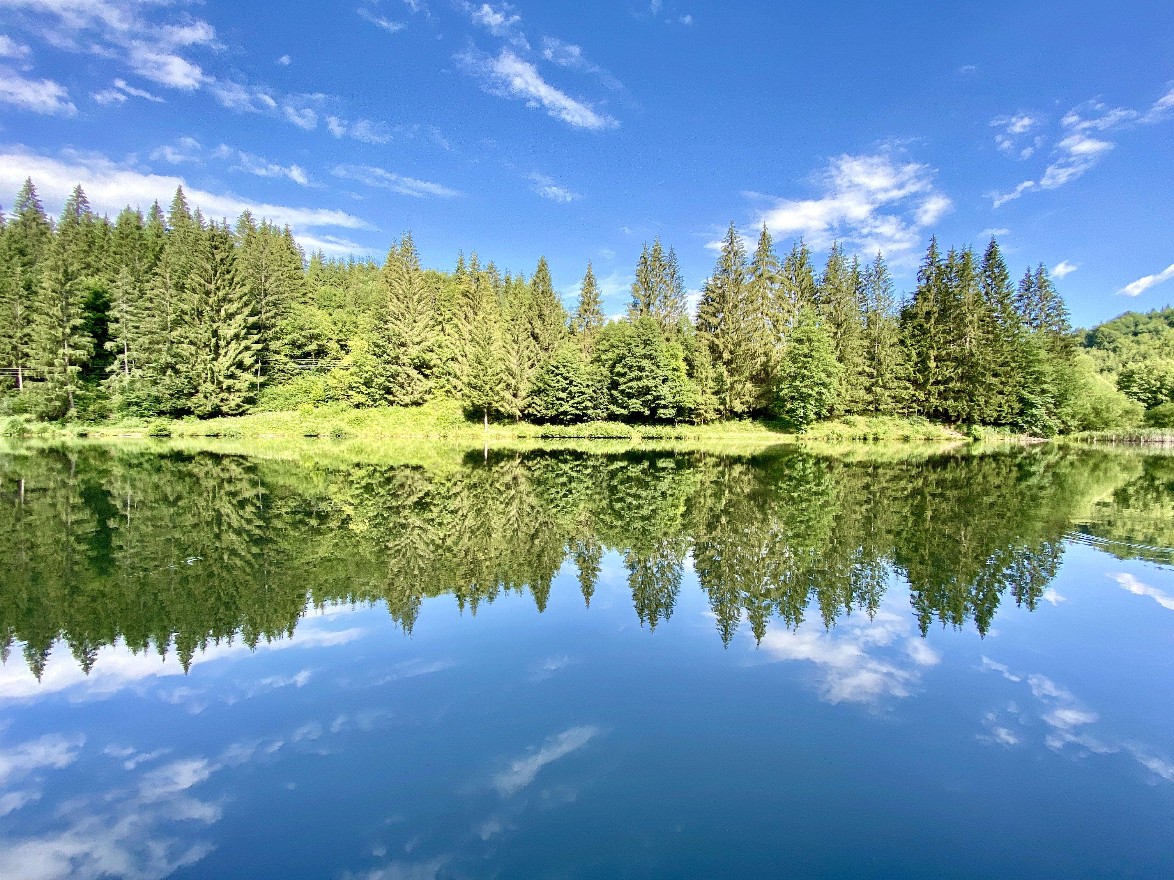 - image: 14