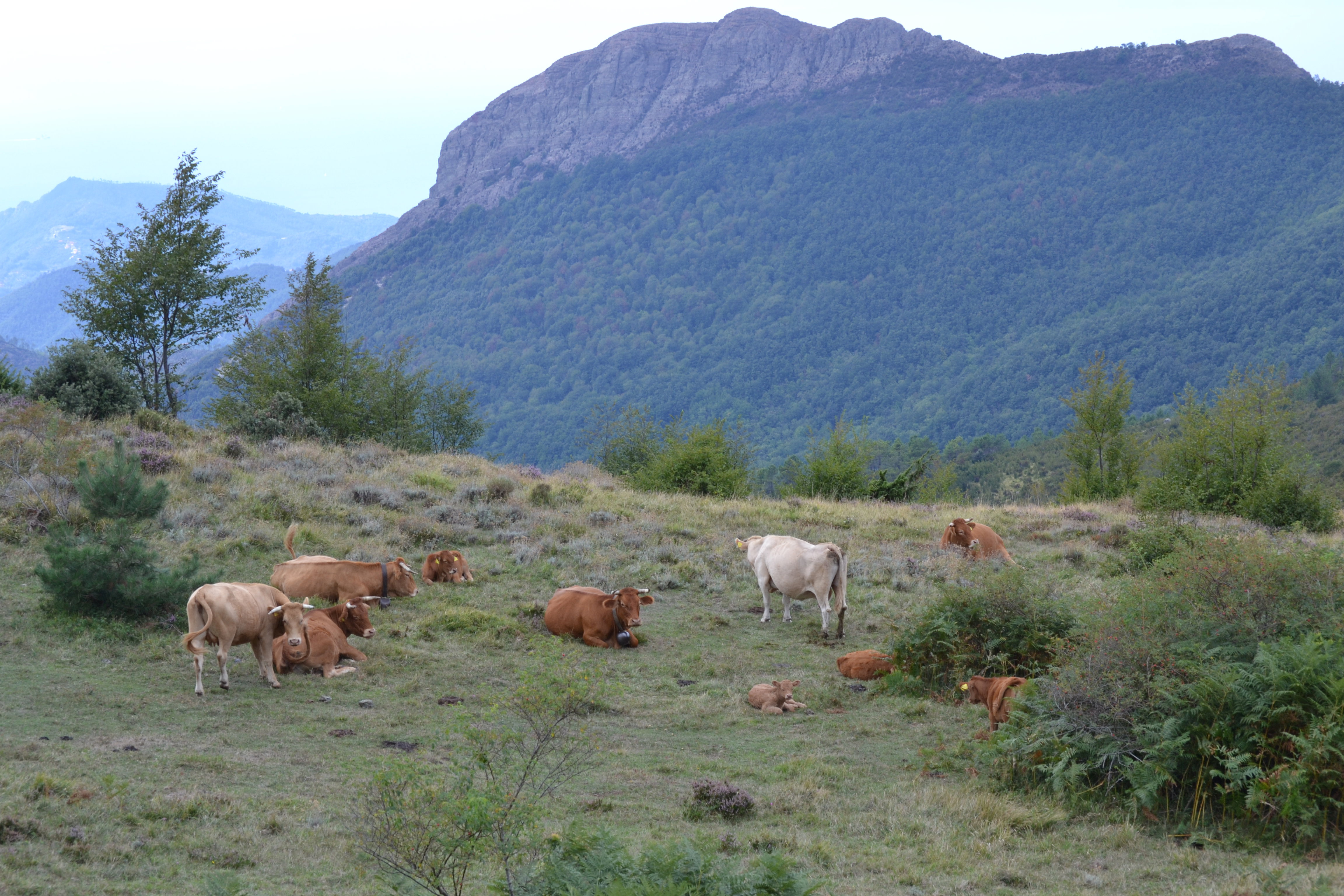 Naturhäuschen in Valle del Gromolo quota 850