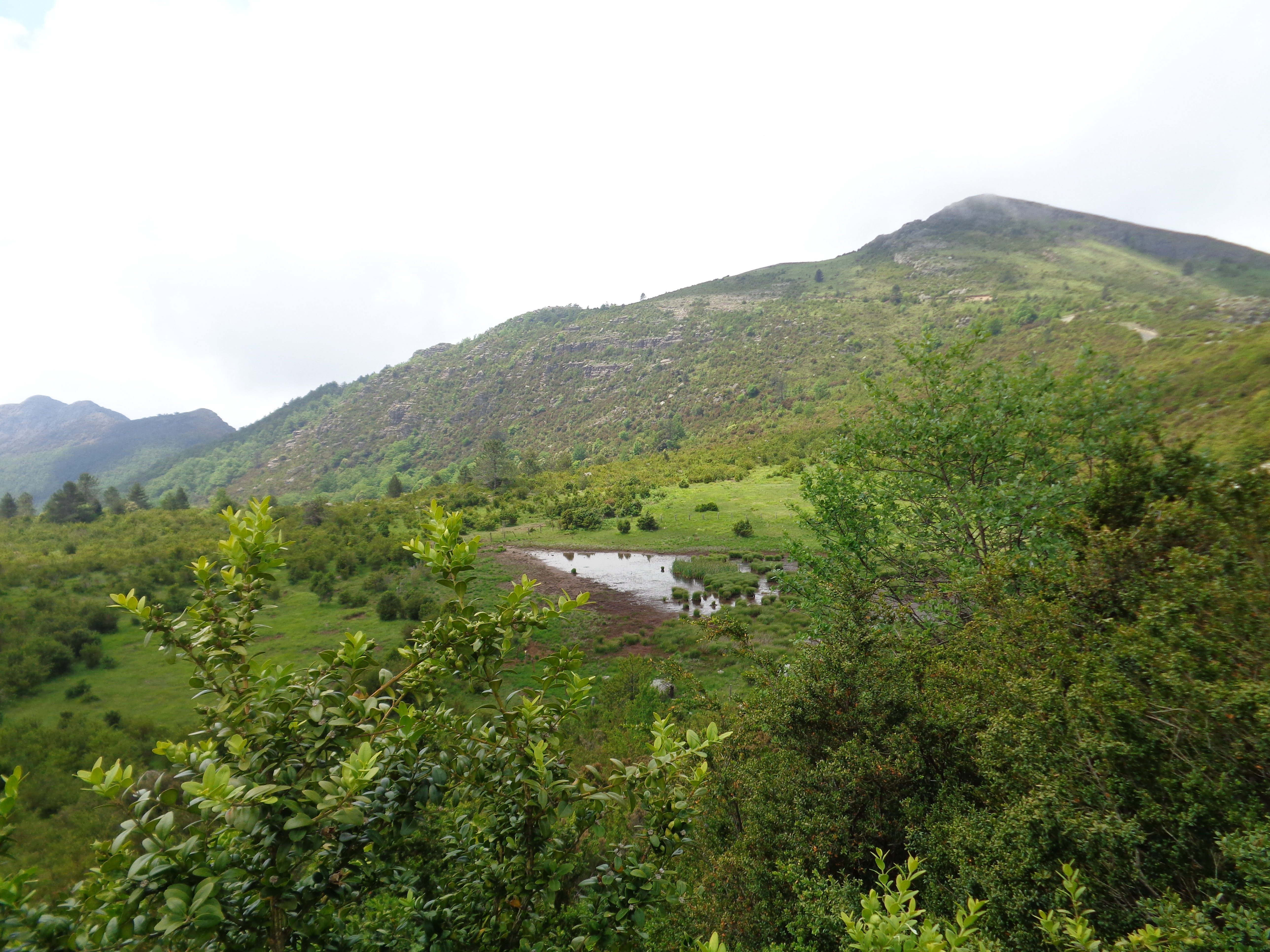 Naturhäuschen in Valle del Gromolo quota 850