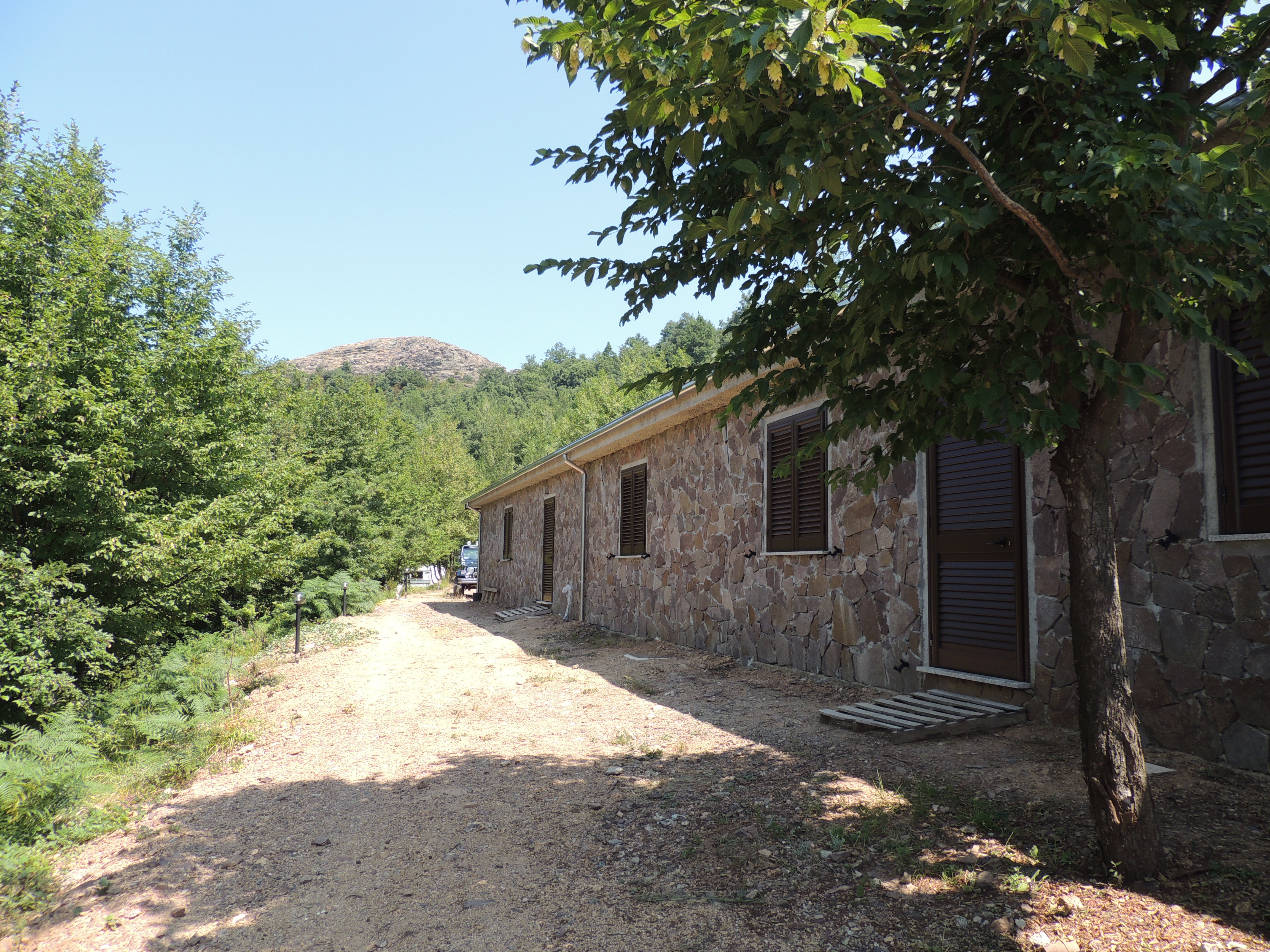 - image: 13
