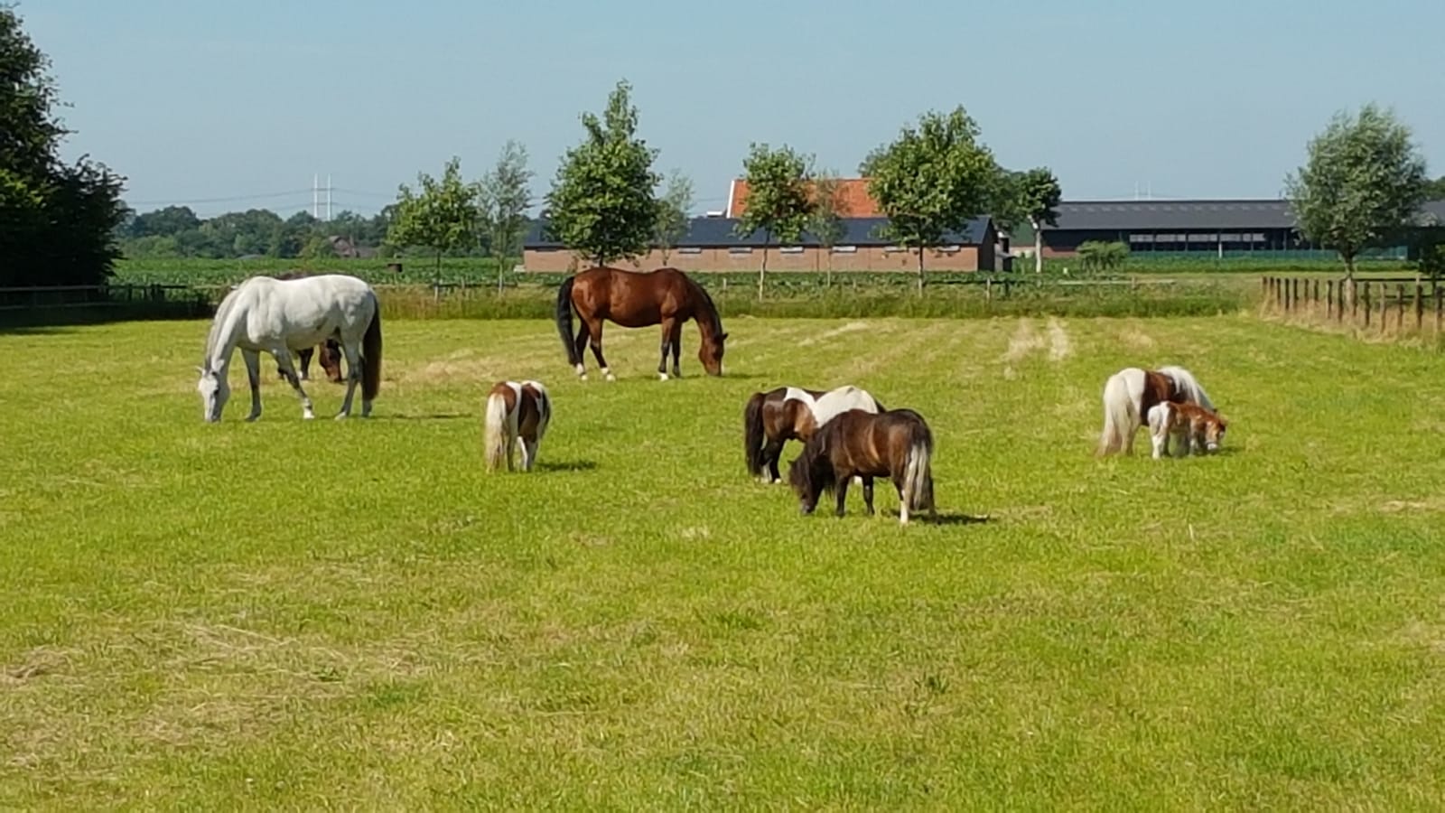 Naturhäuschen in Sinderen