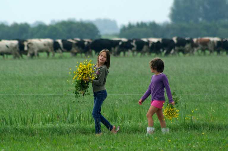 Naturhäuschen in Gaastmeer