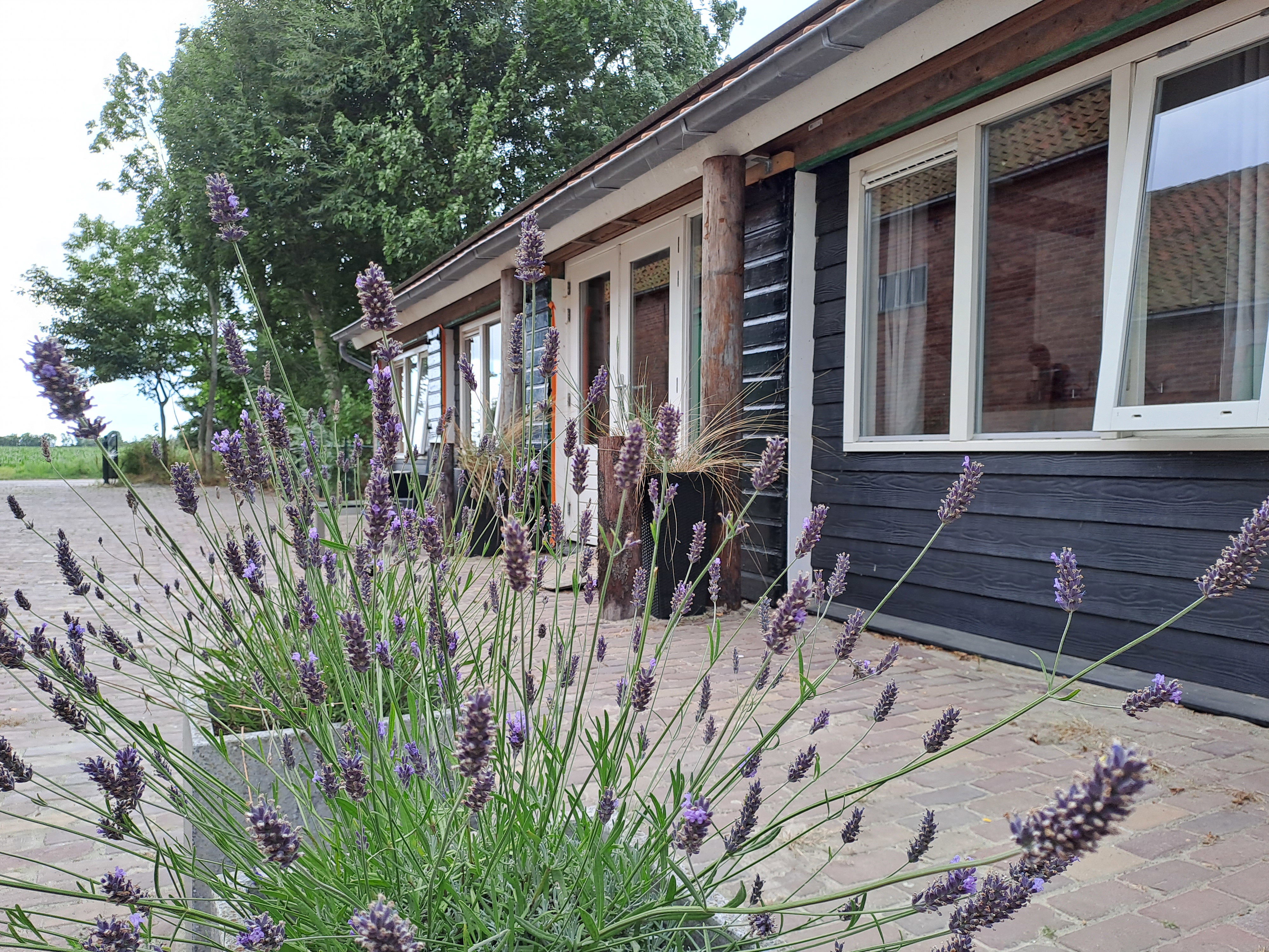 Natuurhuisje in Grijpskerke