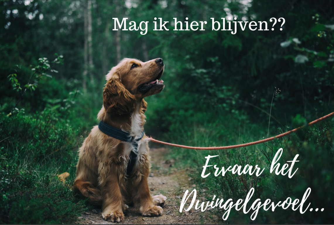 - image: 25