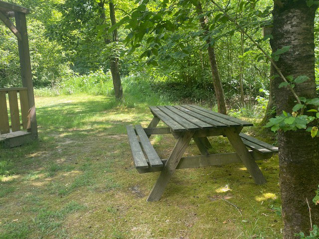 Naturhäuschen in Dwingeloo