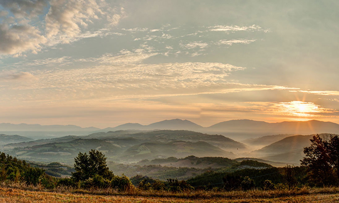 - image: 2