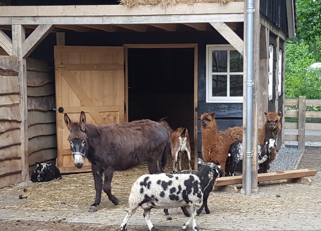 Natuurhuisje in Appelscha