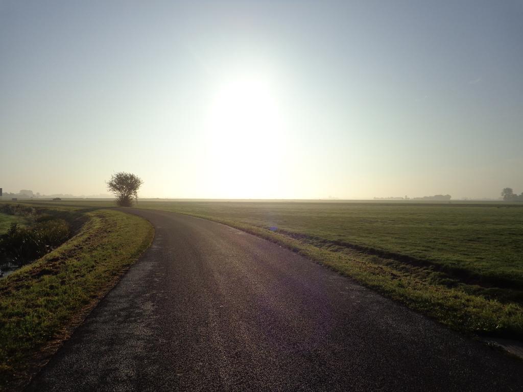 - image: 13