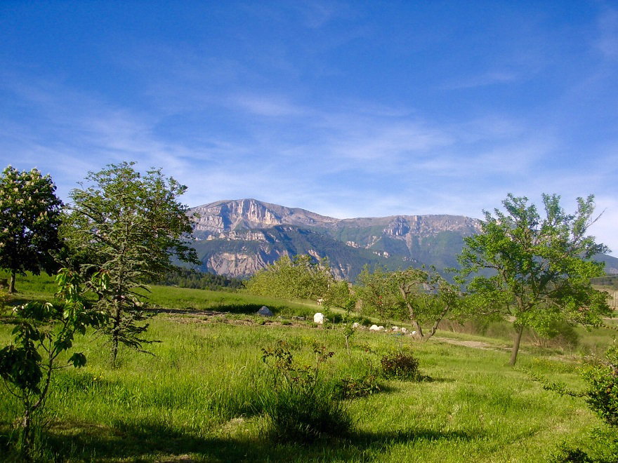 - image: 12