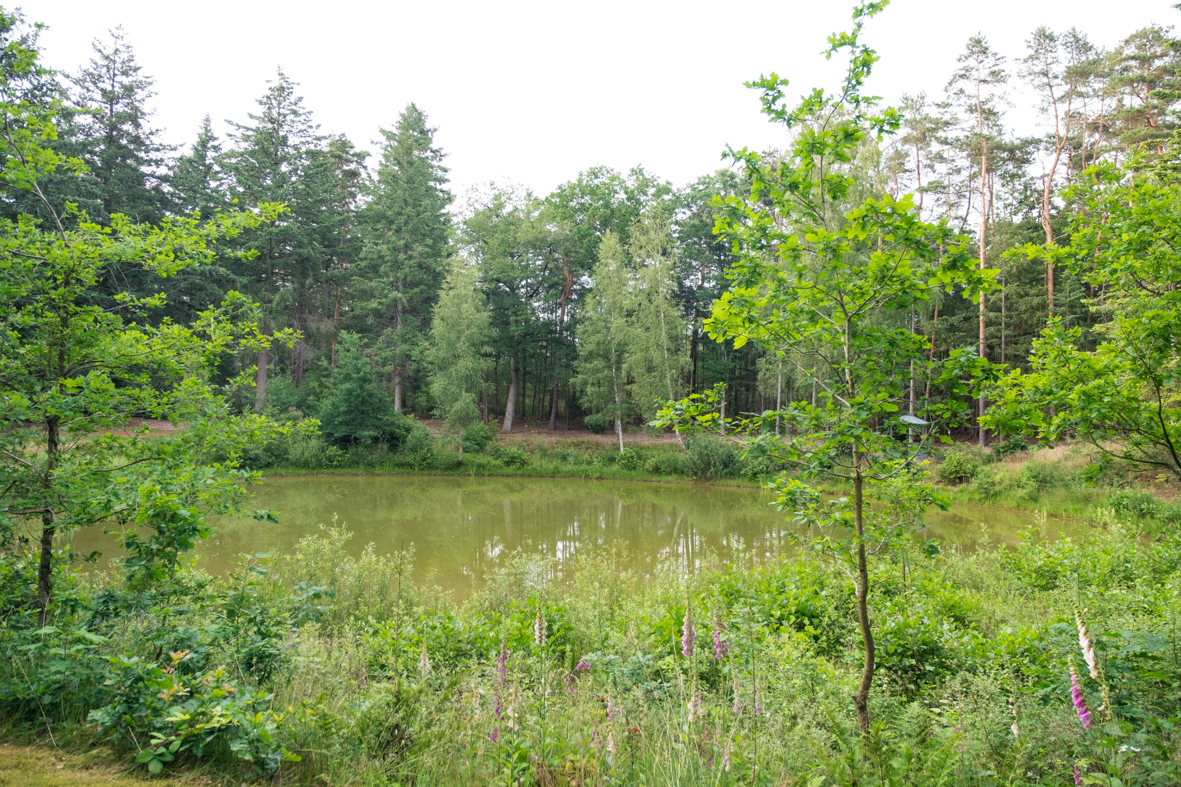Nature house in Deurningen