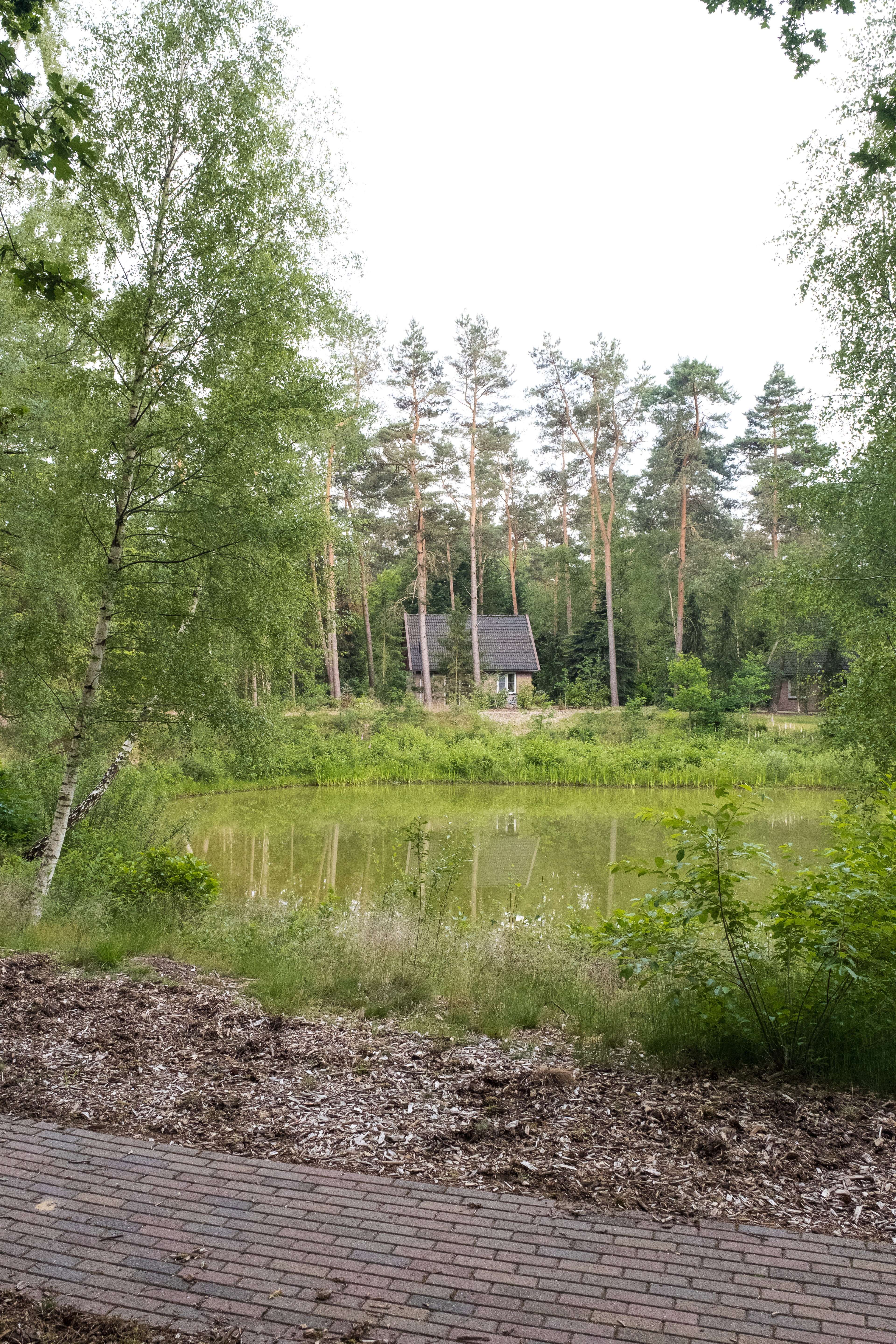 Nature house in Deurningen