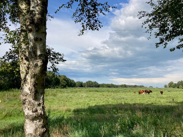 Maison nature à Nieuw Balinge