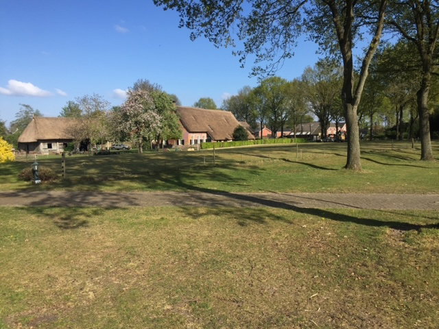 - image: 29
