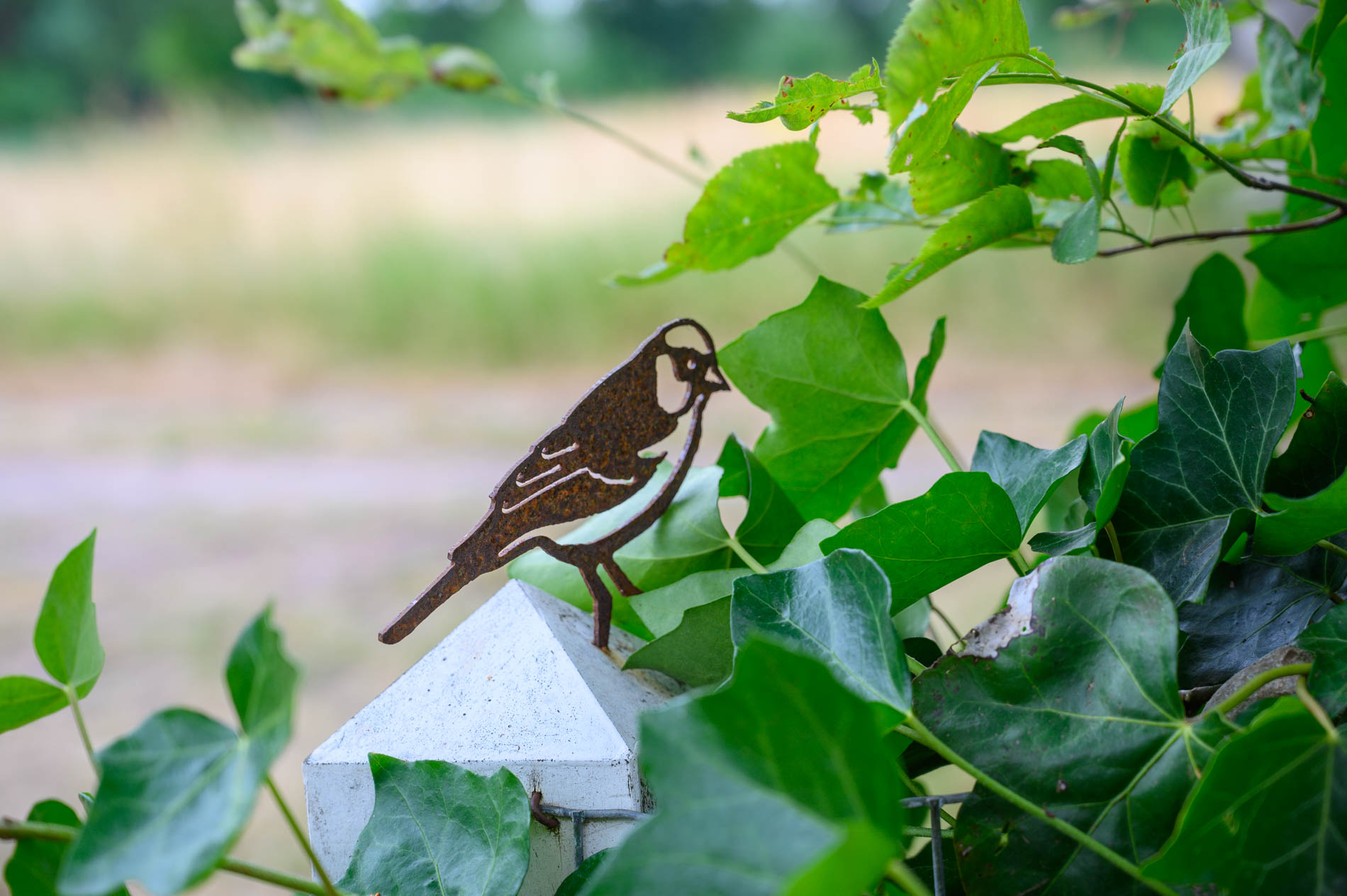 Maison nature à Nieuw Balinge