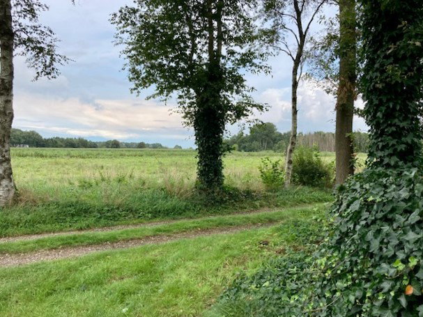 Maison nature à Nieuw Balinge