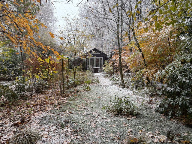 - image: 22