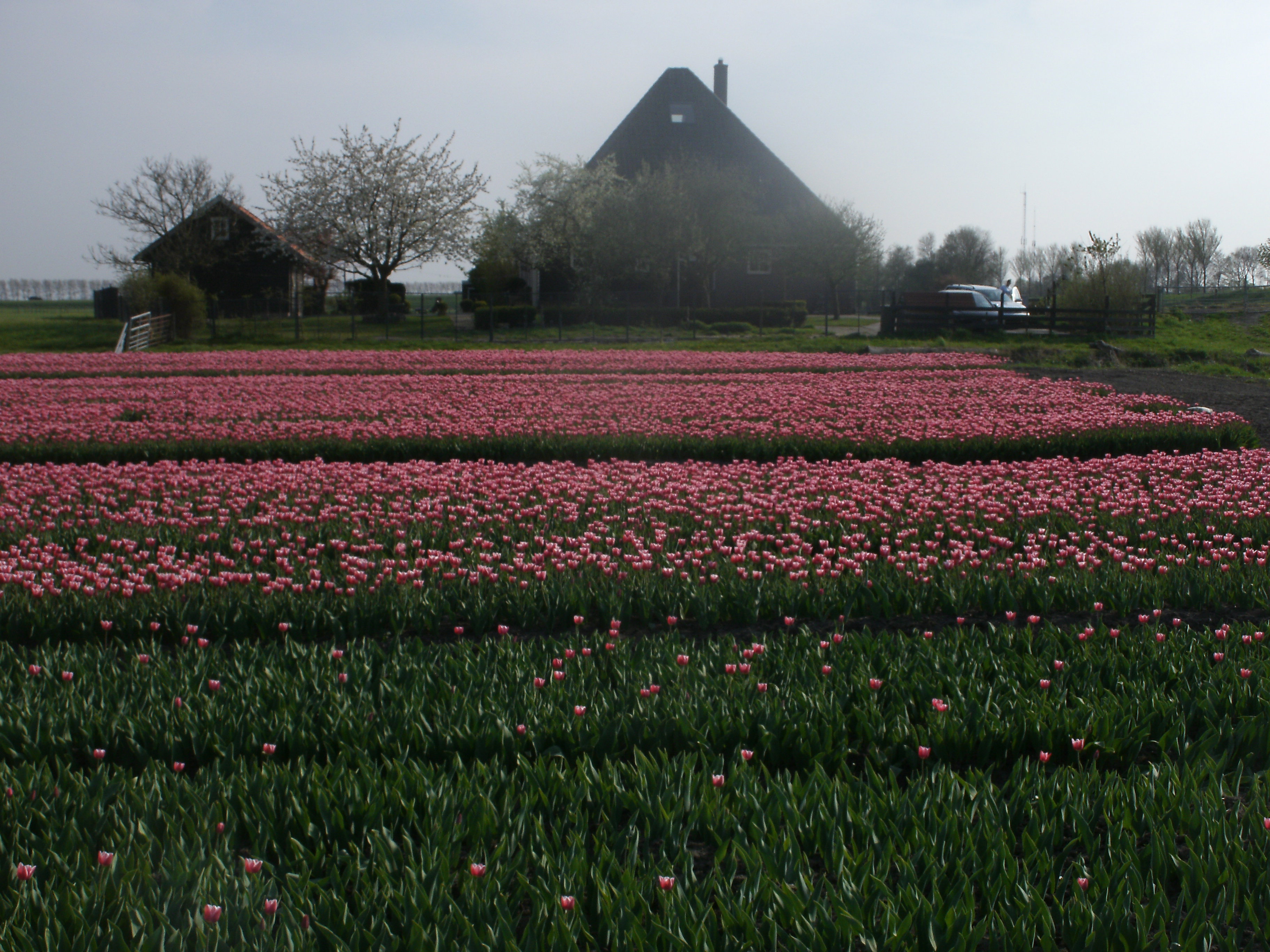 Maison nature à Westbeemster
