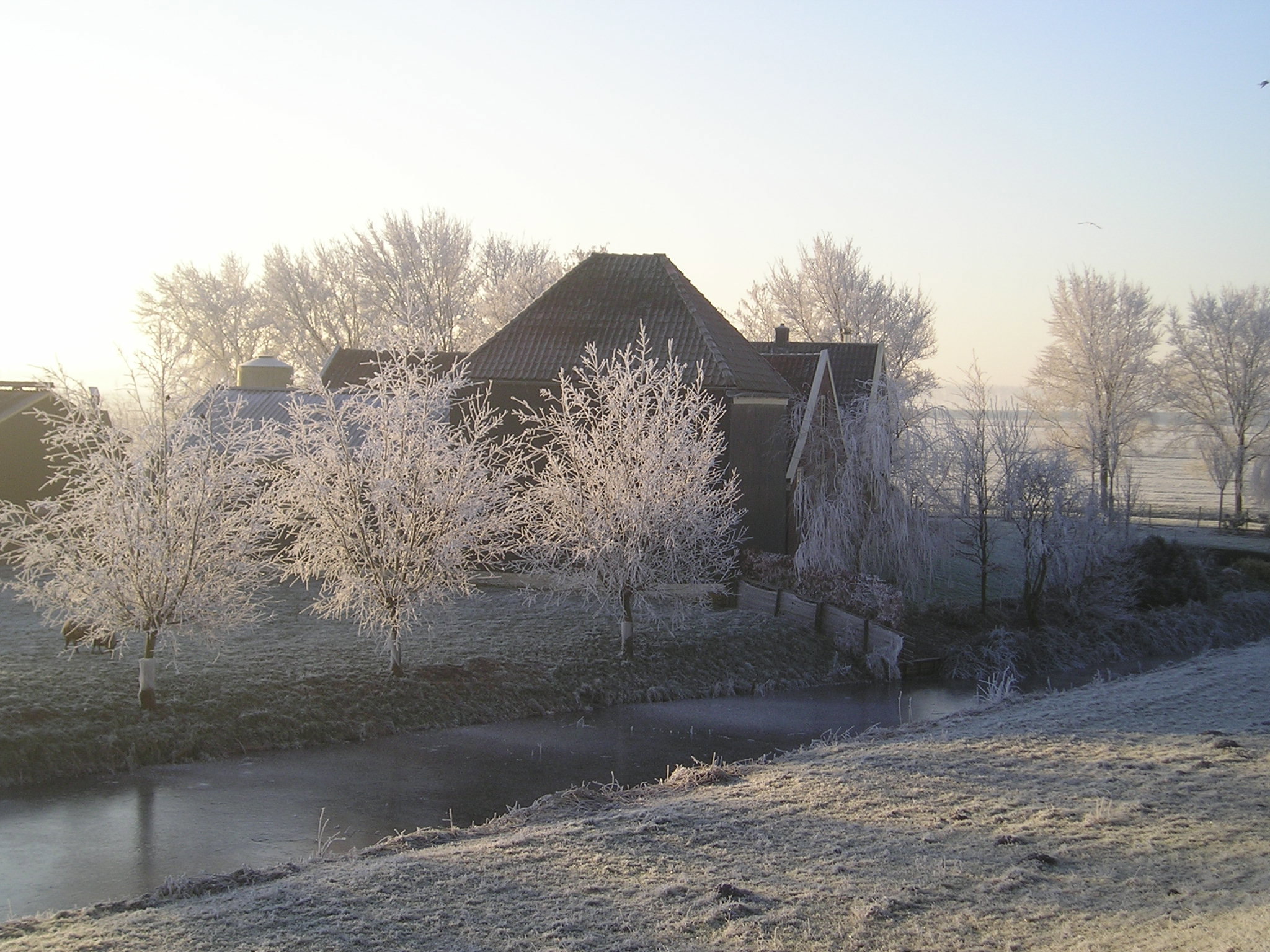 Maison nature à Westbeemster