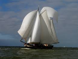- image: 12