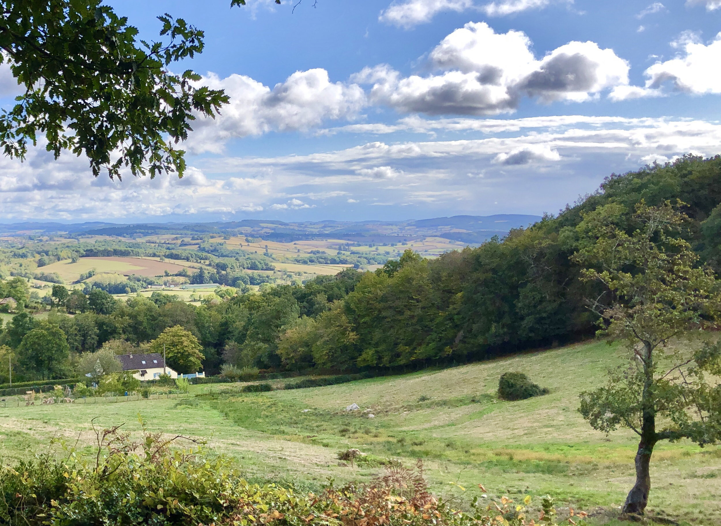 Naturhäuschen in chiddes
