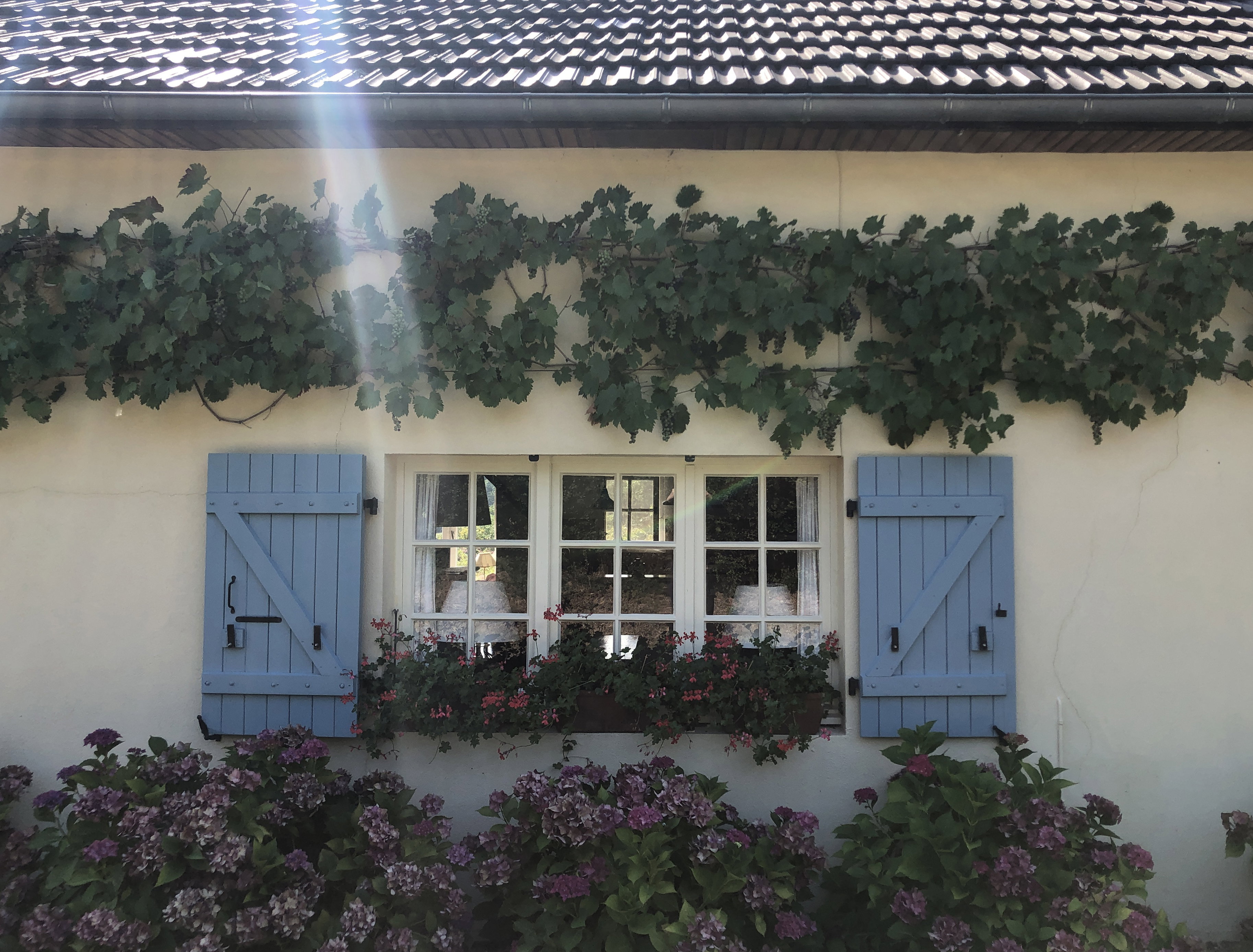 Naturhäuschen in chiddes