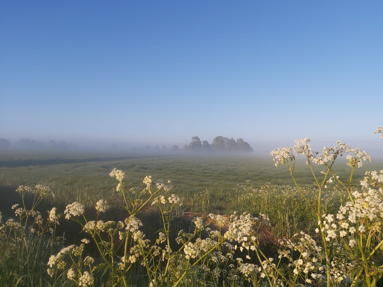 Naturhäuschen in Winsum