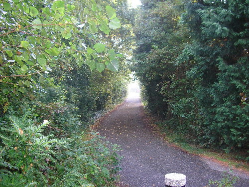 - image: 16